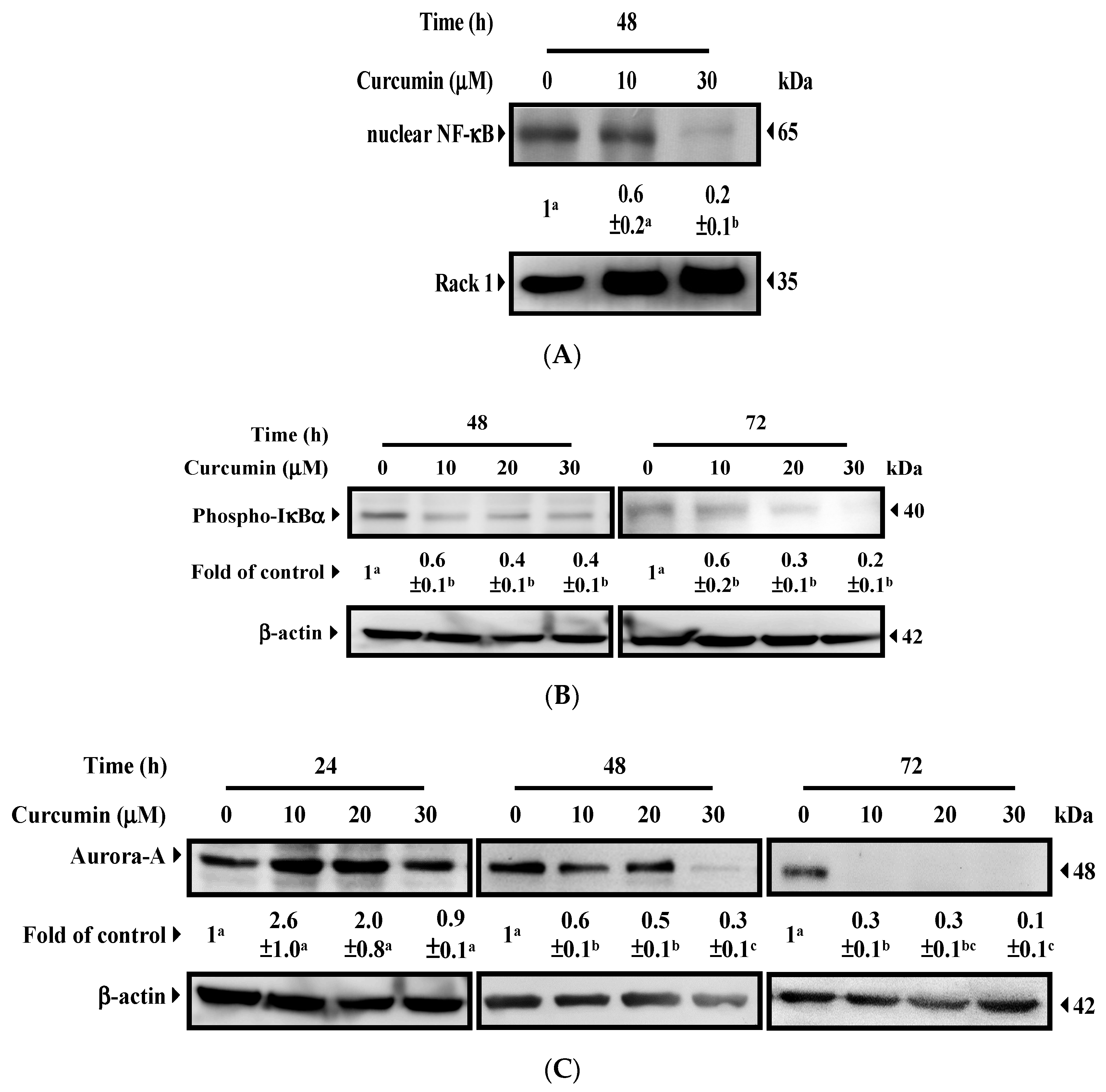 Nutrients 11 01397 g002a
