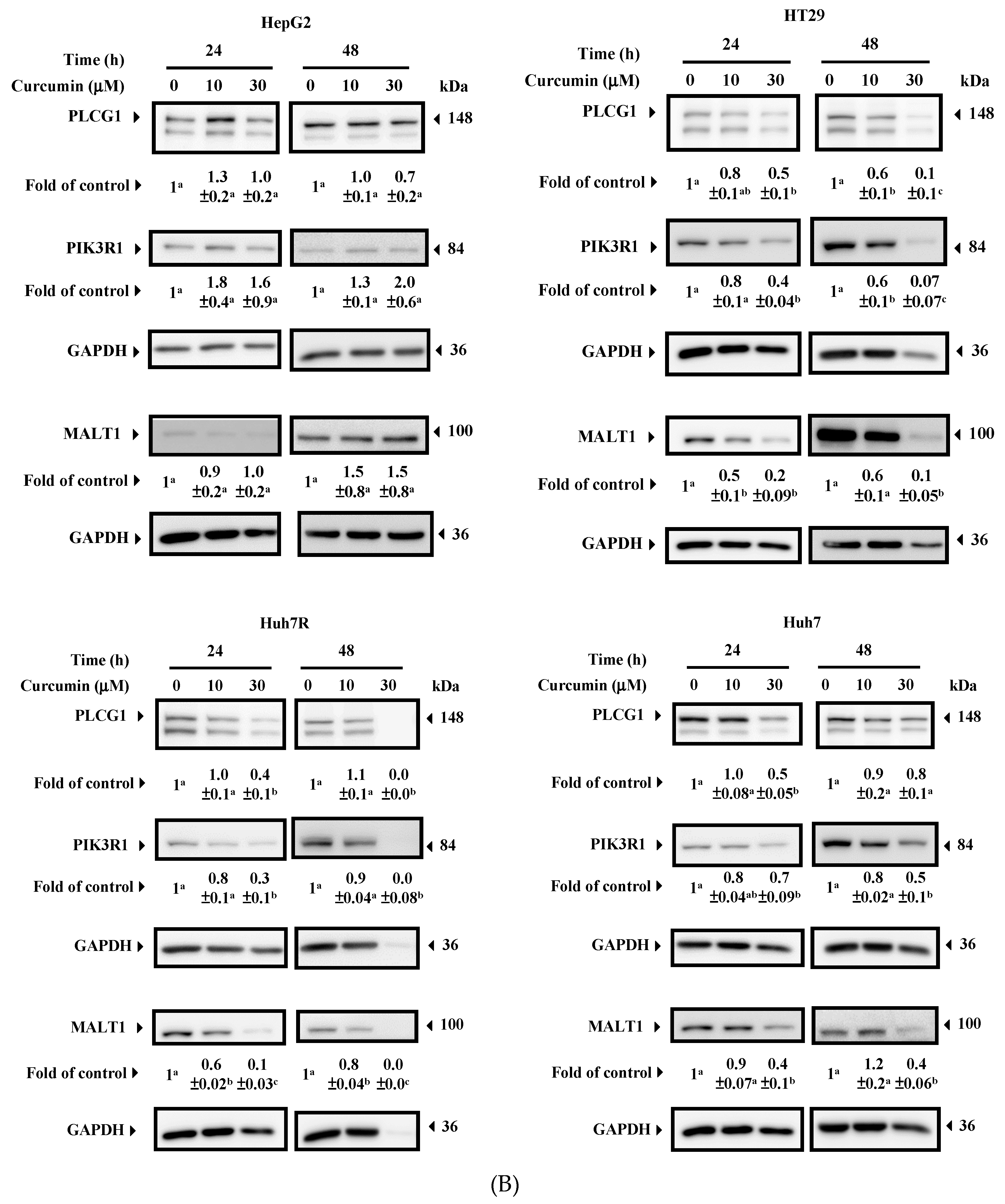 Nutrients 11 01397 g003b