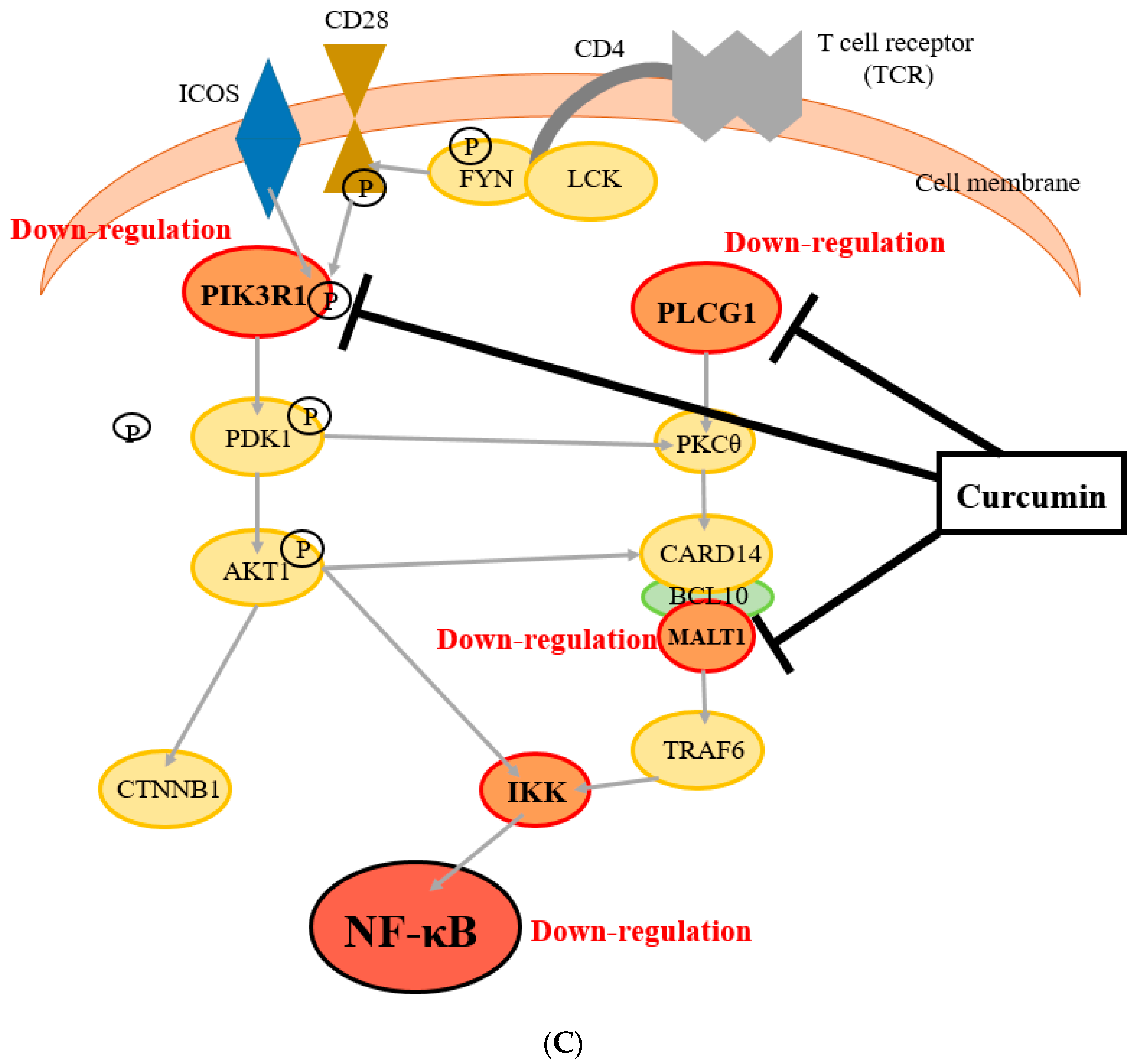 Nutrients 11 01397 g003c