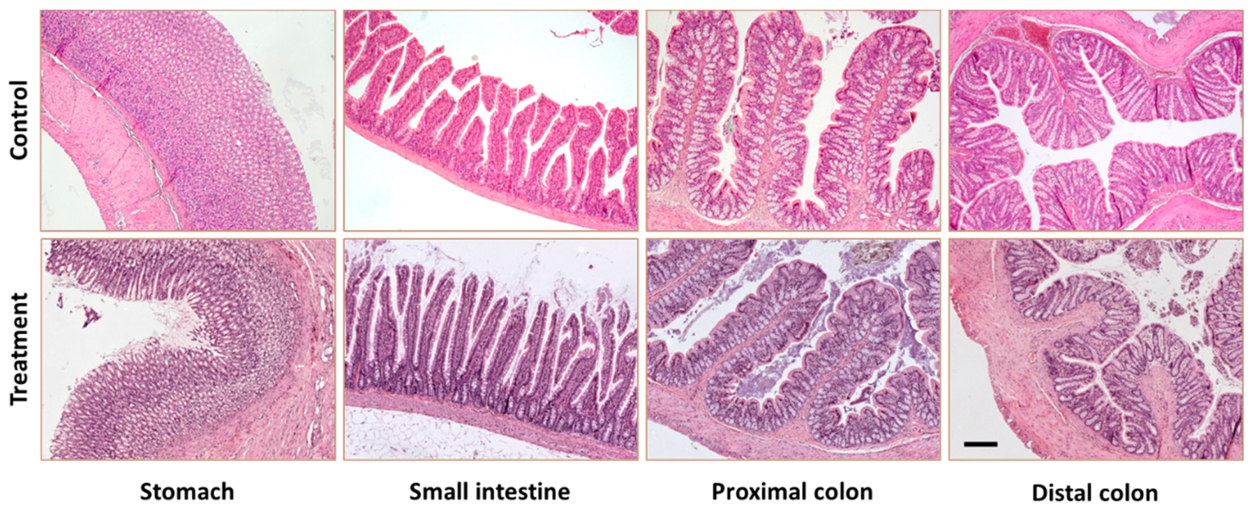 Nutrients 11 01411 g003 Nutrients 11 01411 g003