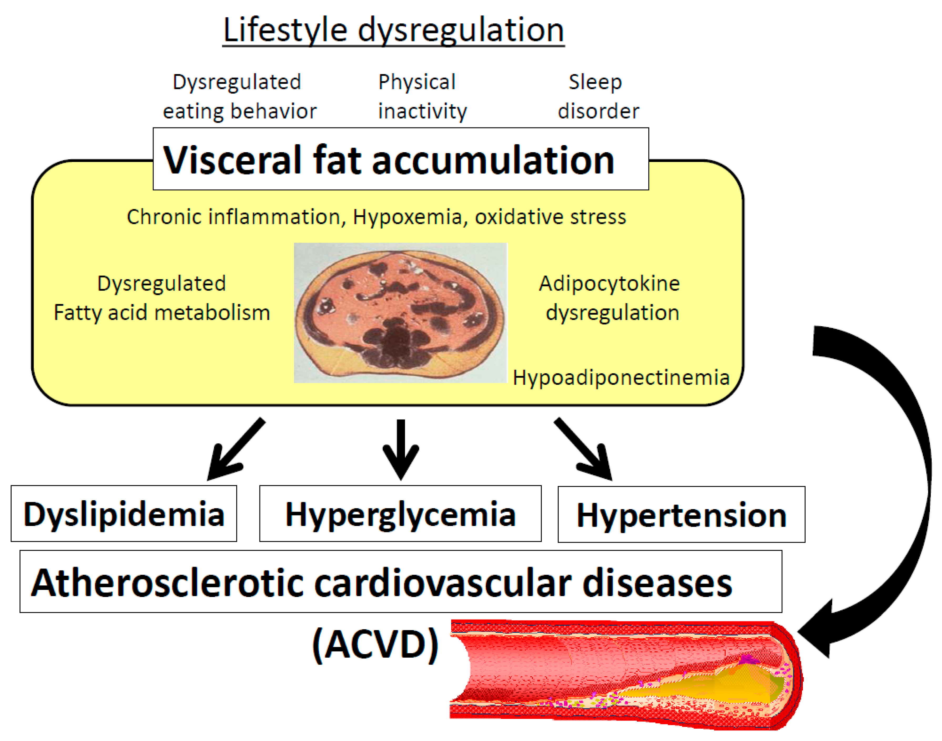 Nutrients 11 01430 g001 Nutrients 11 01430 g001