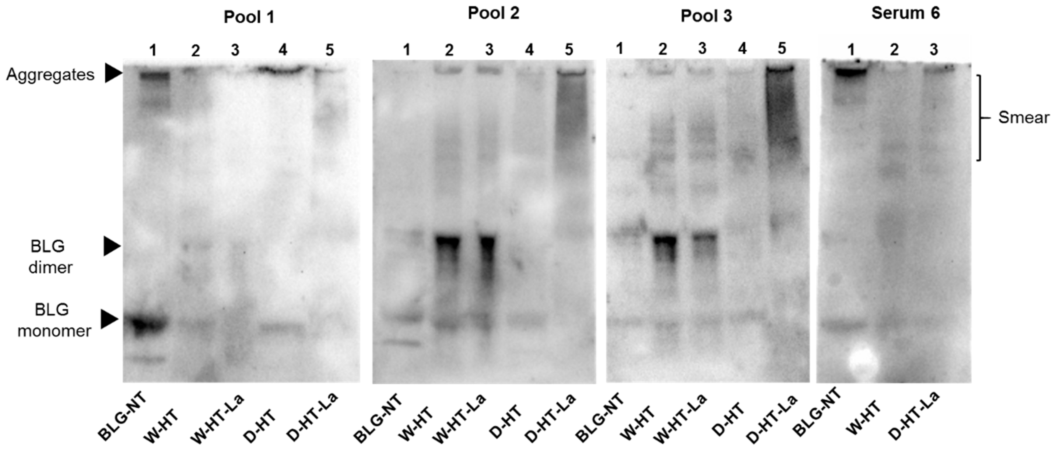 Nutrients 11 01432 g008 Nutrients 11 01432 g008