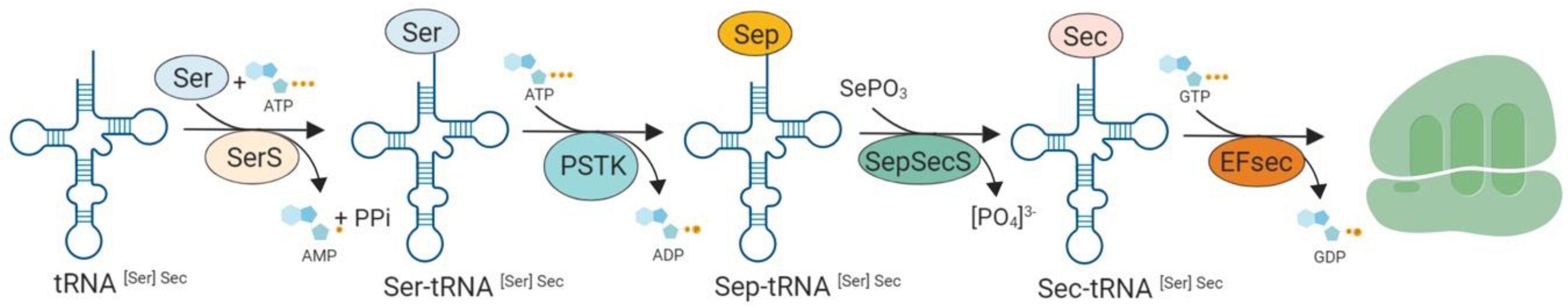 Nutrients 11 01457 g001 Nutrients 11 01457 g001