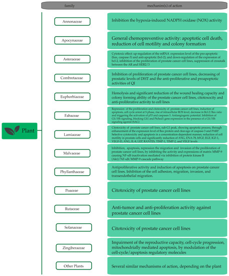 Polutions és prostatitis