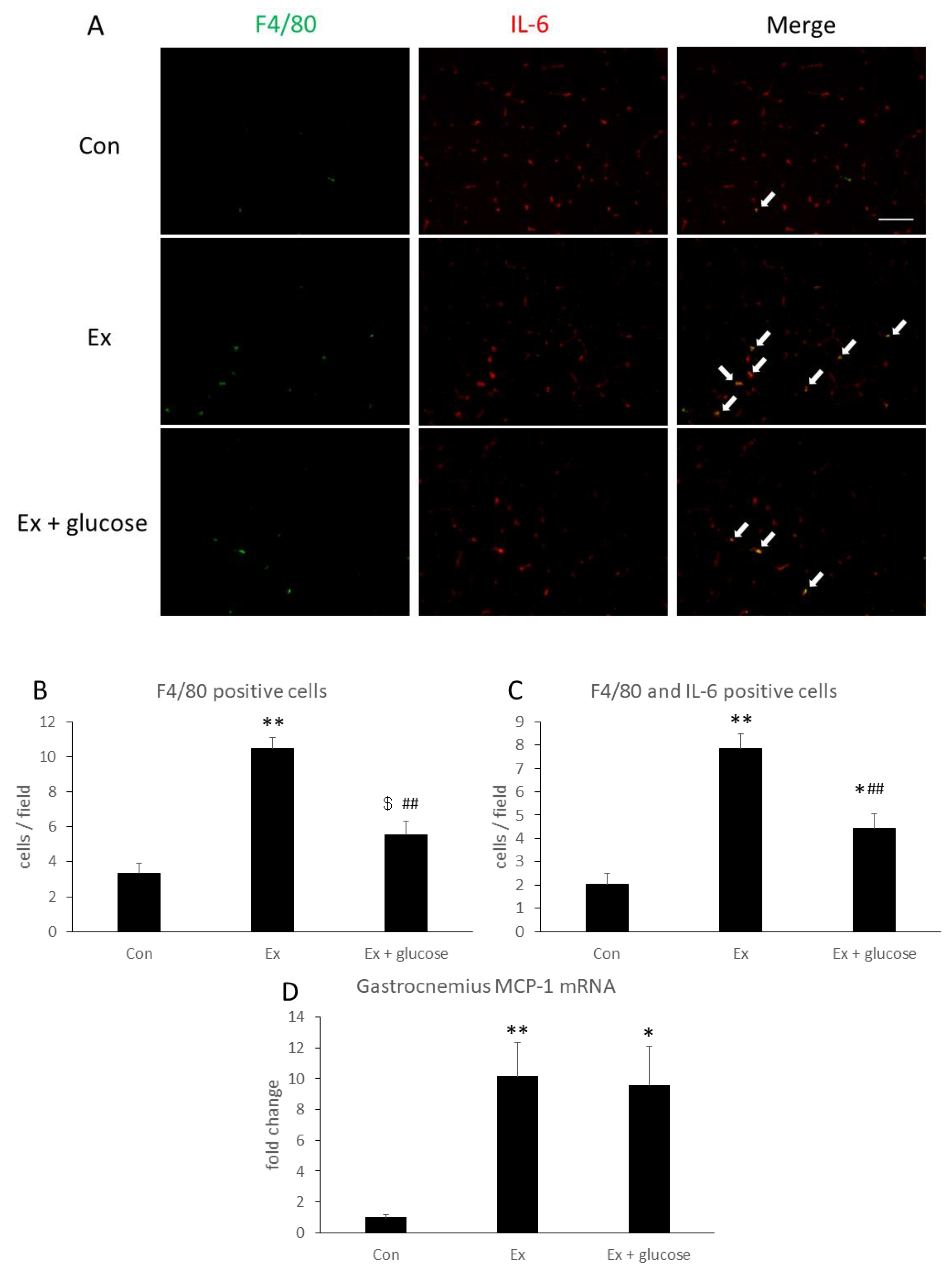 Nutrients 11 01496 g004 Nutrients 11 01496 g004