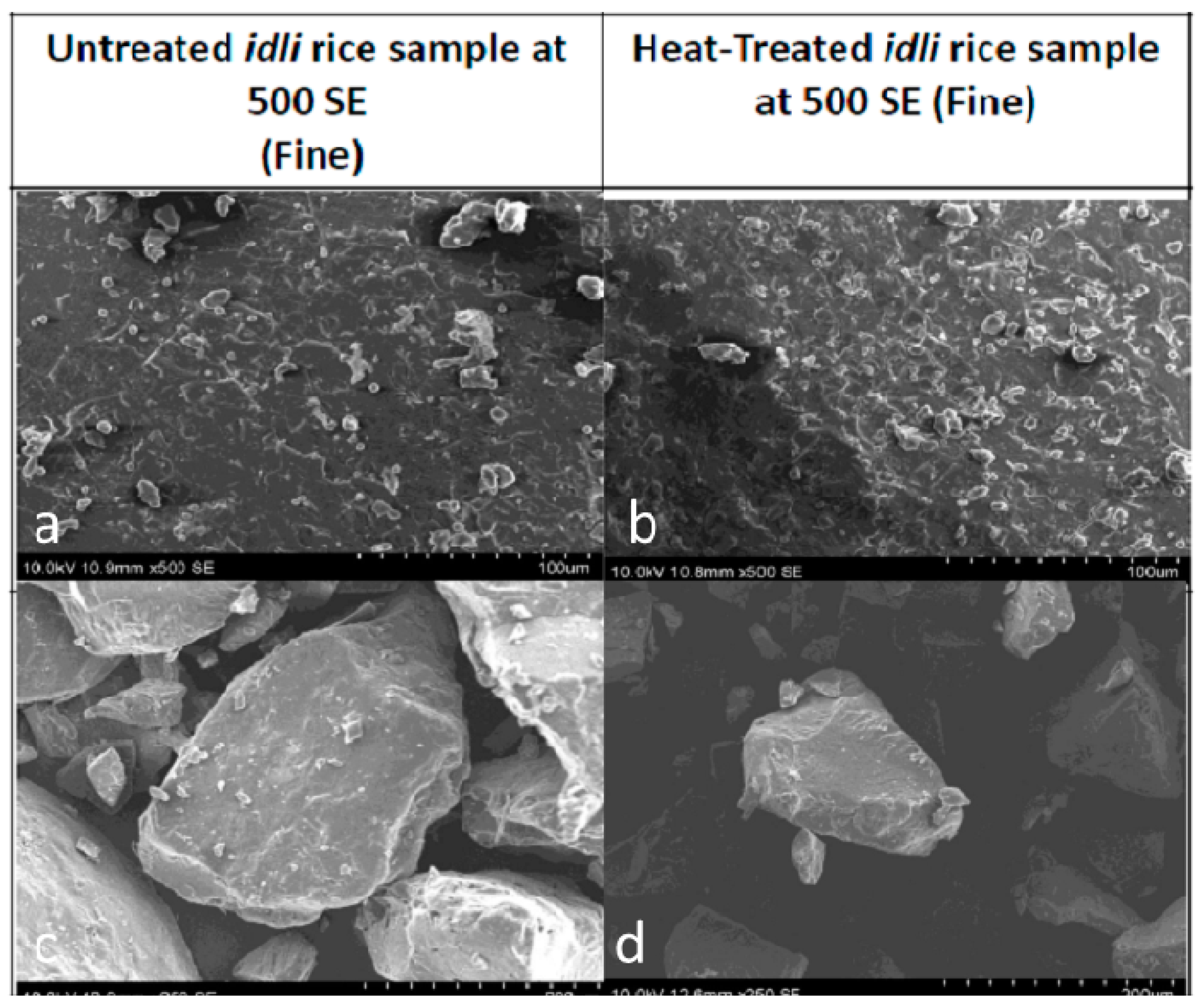Nutrients 11 01497 g007 Nutrients 11 01497 g007
