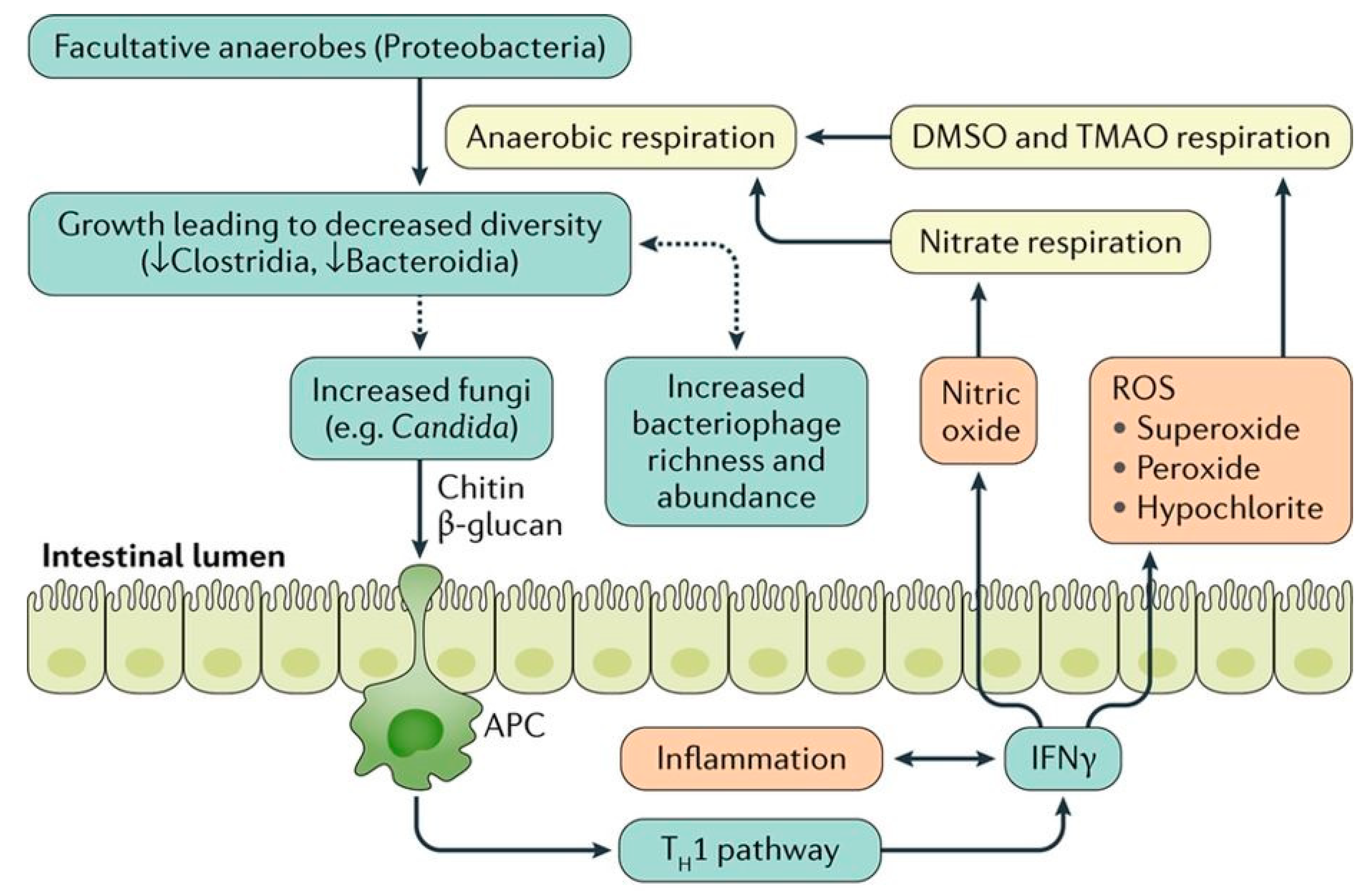 Nutrients 11 01498 g002