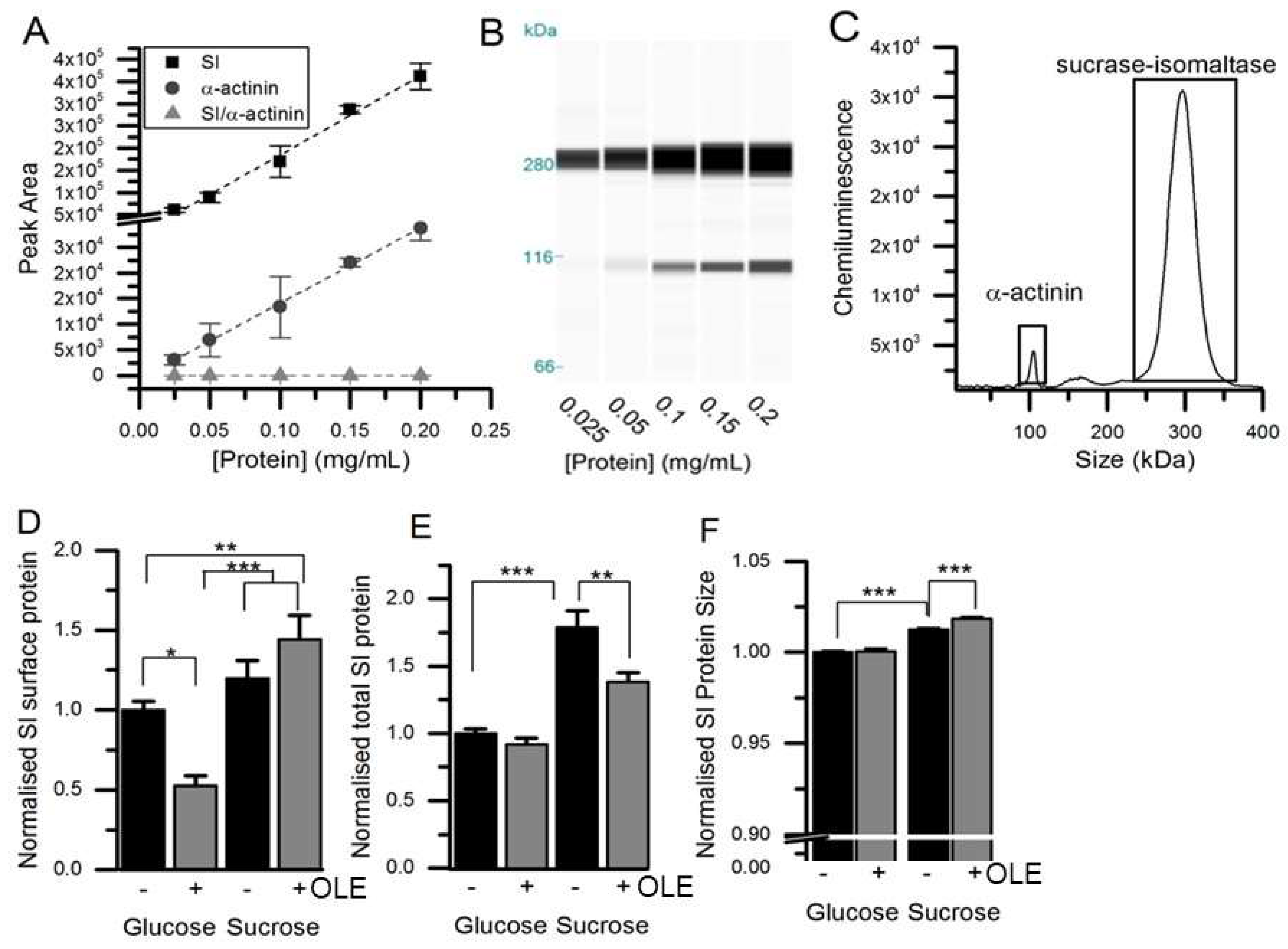 Nutrients 11 01505 g003