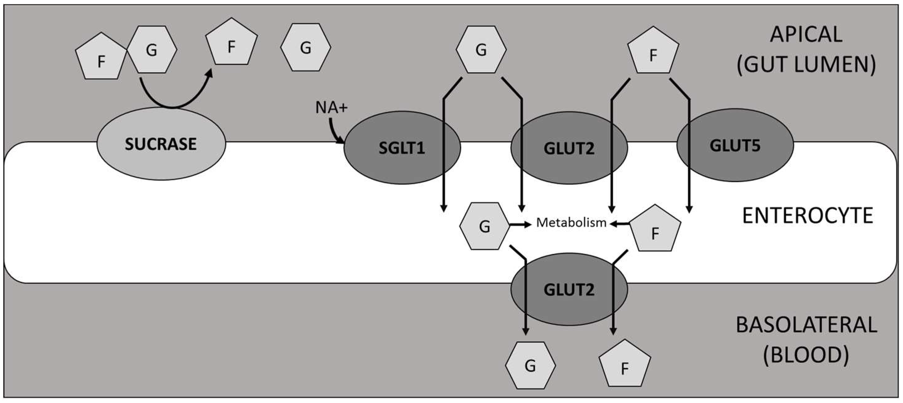 Nutrients 11 01505 g007