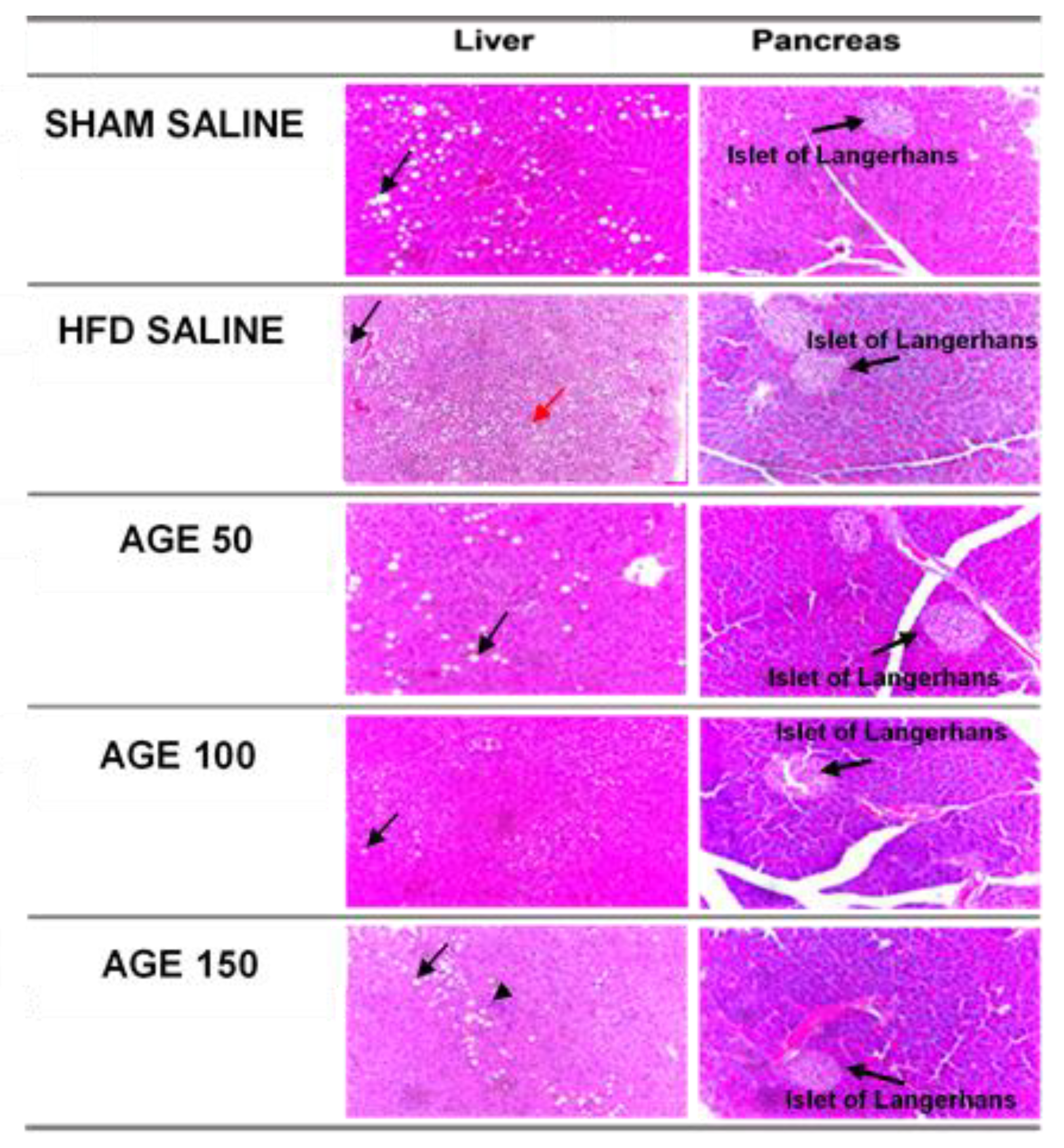 Nutrients 11 01509 g006