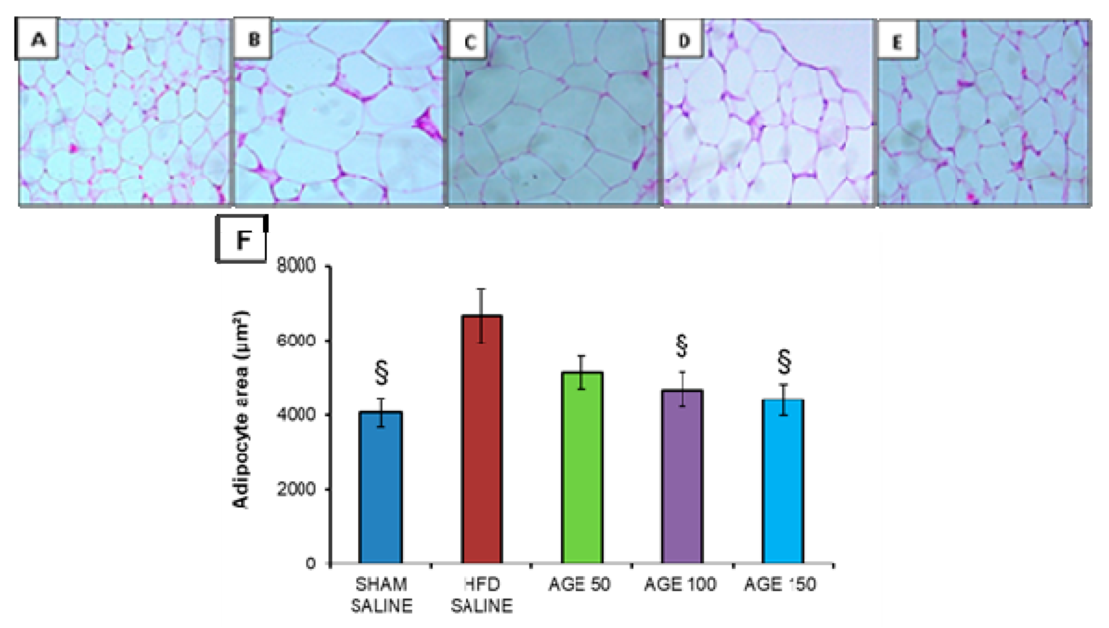Nutrients 11 01509 g007