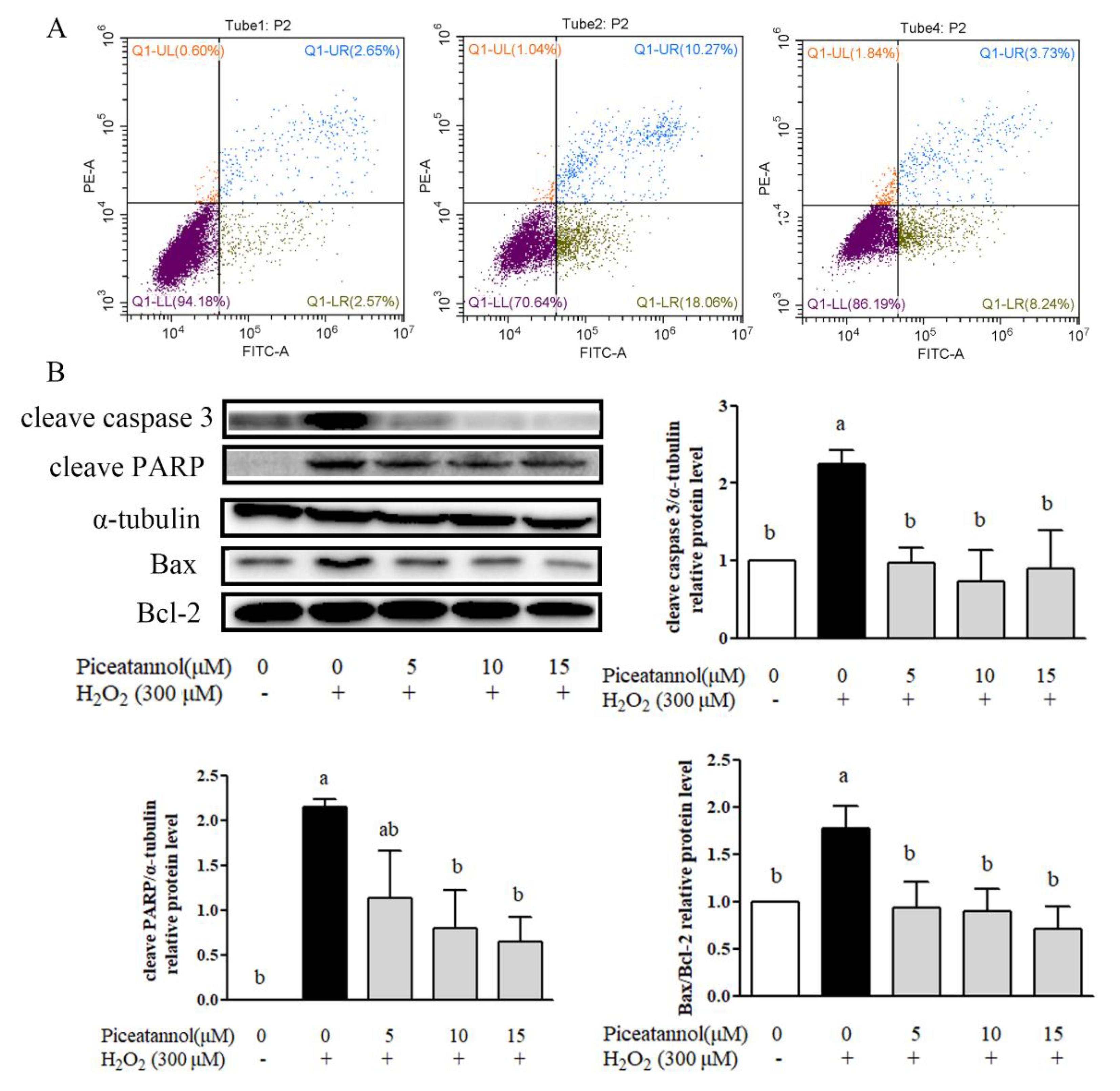 Nutrients 11 01515 g002 Nutrients 11 01515 g002