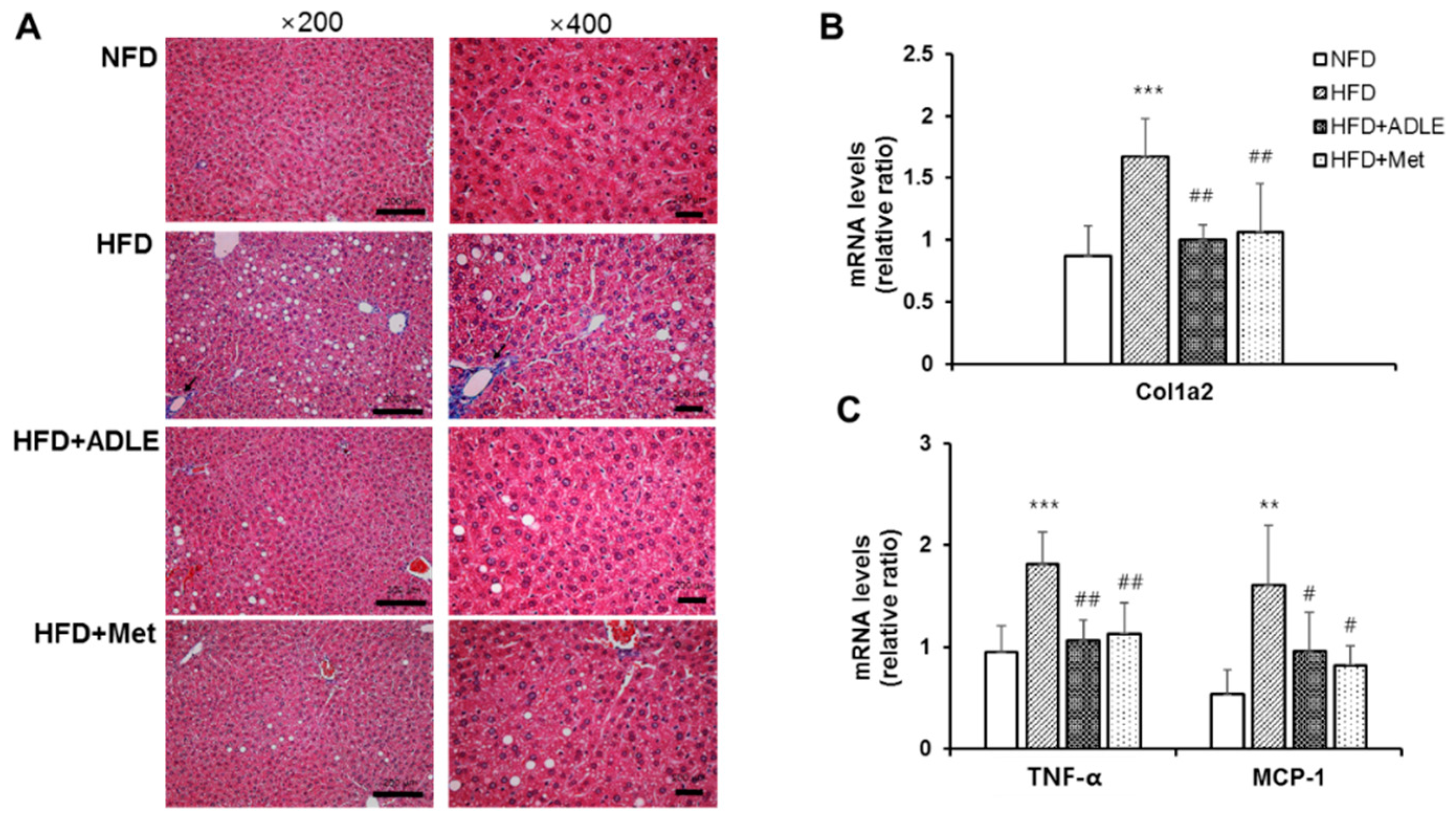 Nutrients 11 01522 g004 Nutrients 11 01522 g004