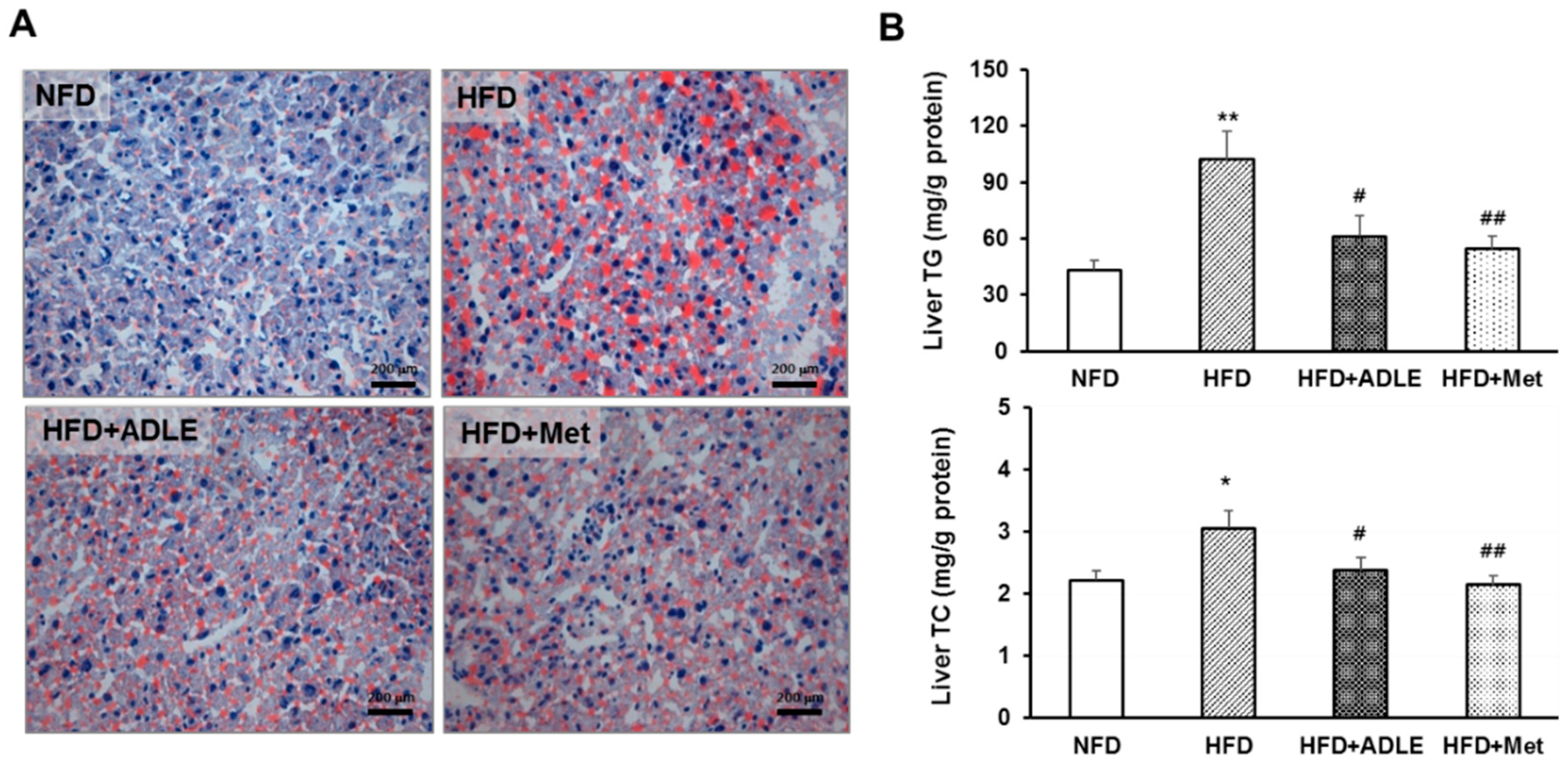 Nutrients 11 01522 g005 Nutrients 11 01522 g005