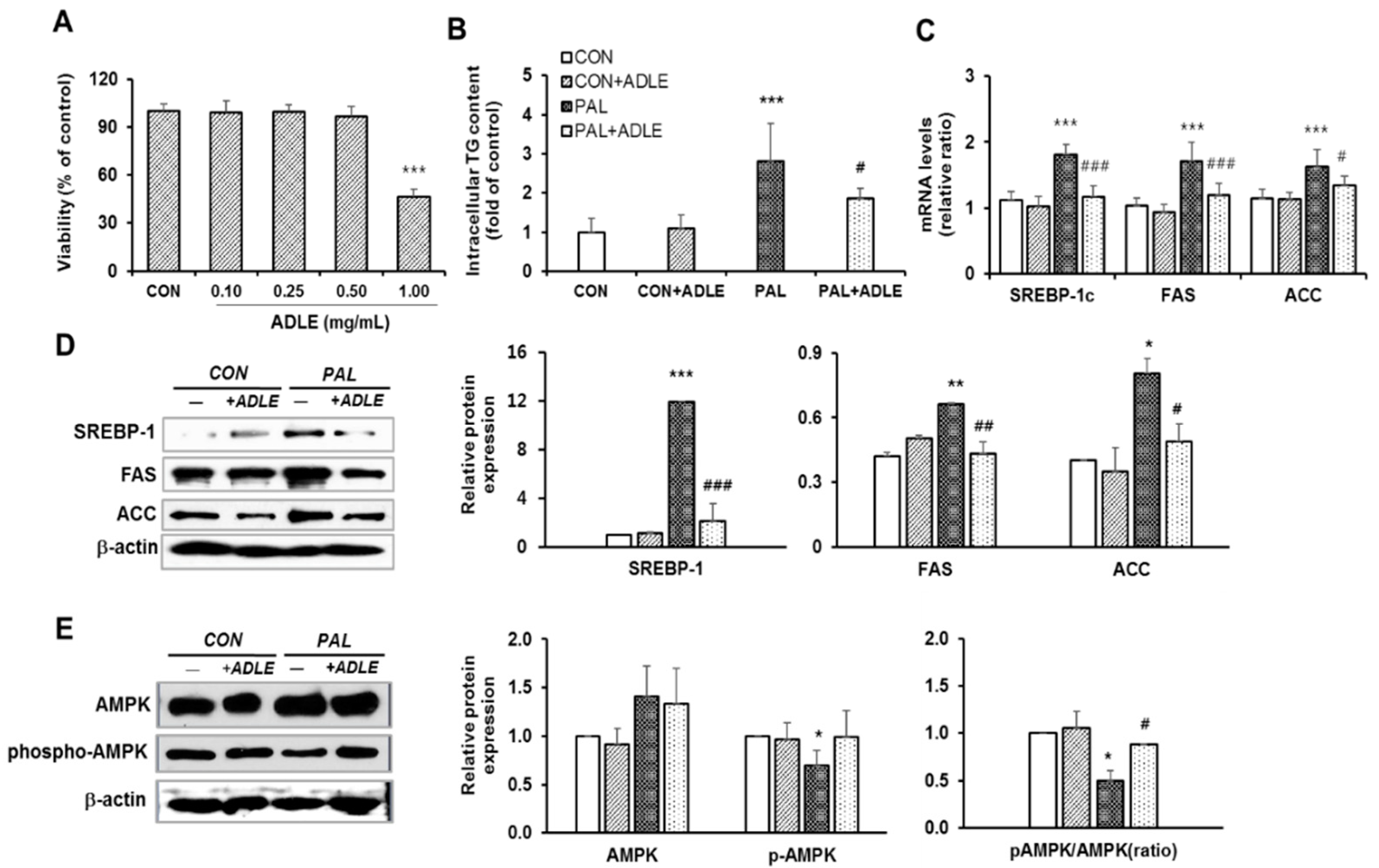 Nutrients 11 01522 g006 Nutrients 11 01522 g006