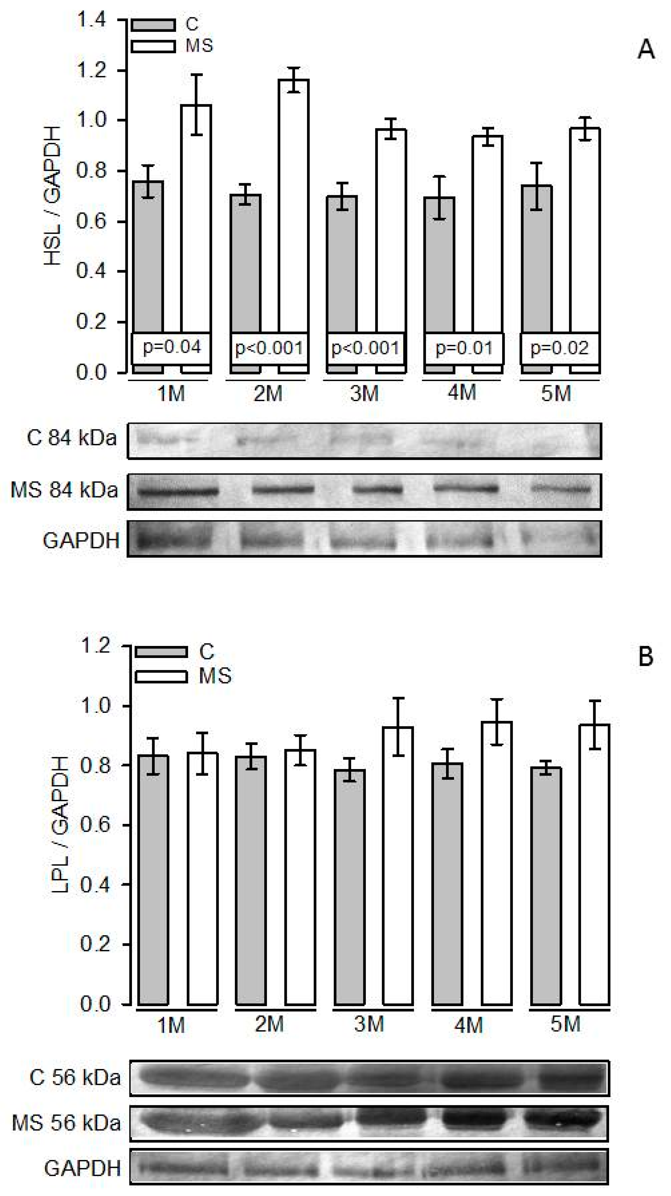 Nutrients 11 01529 g005 Nutrients 11 01529 g005