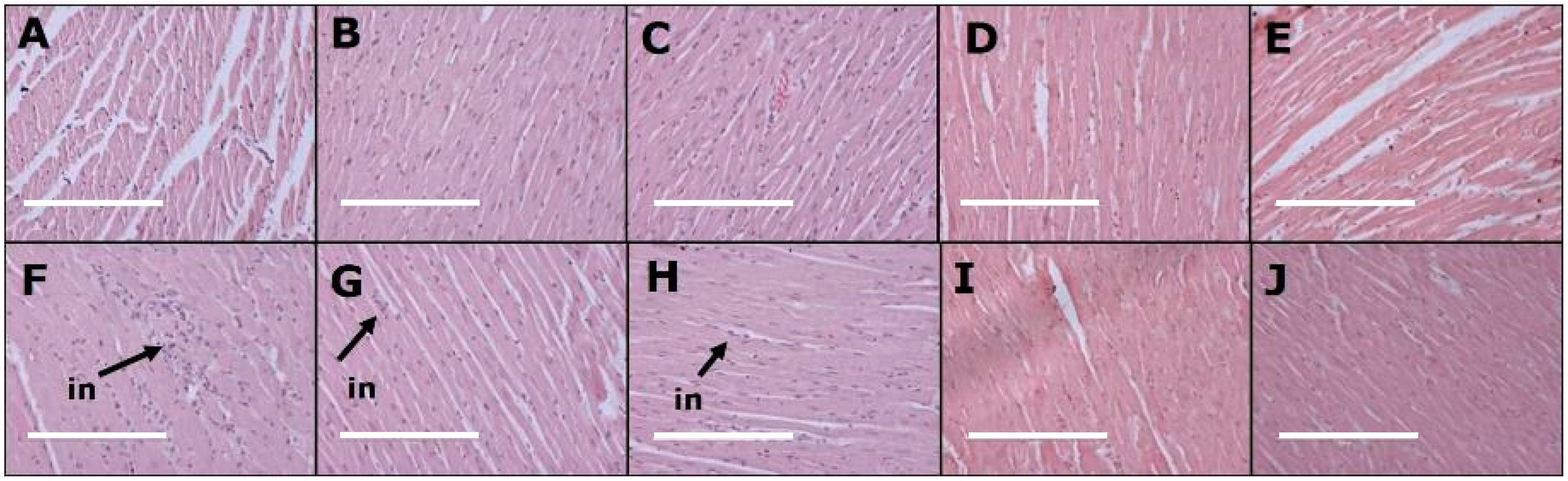Nutrients 11 01542 g001