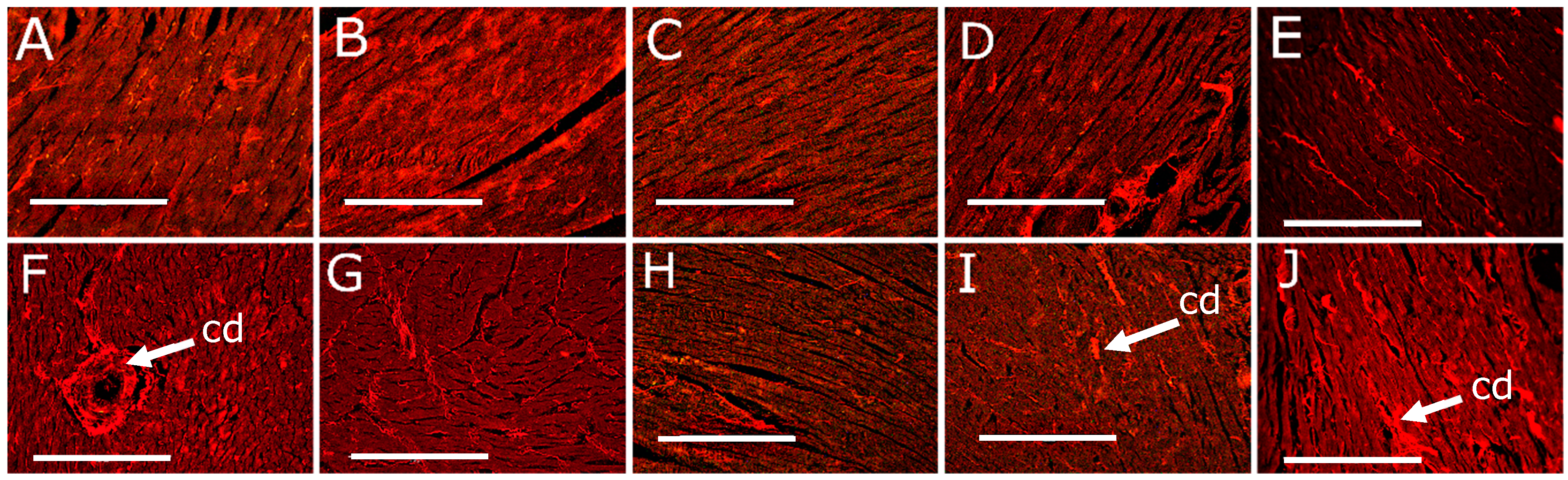 Nutrients 11 01542 g002