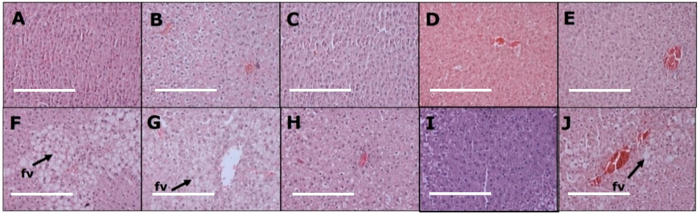 Nutrients 11 01542 g003