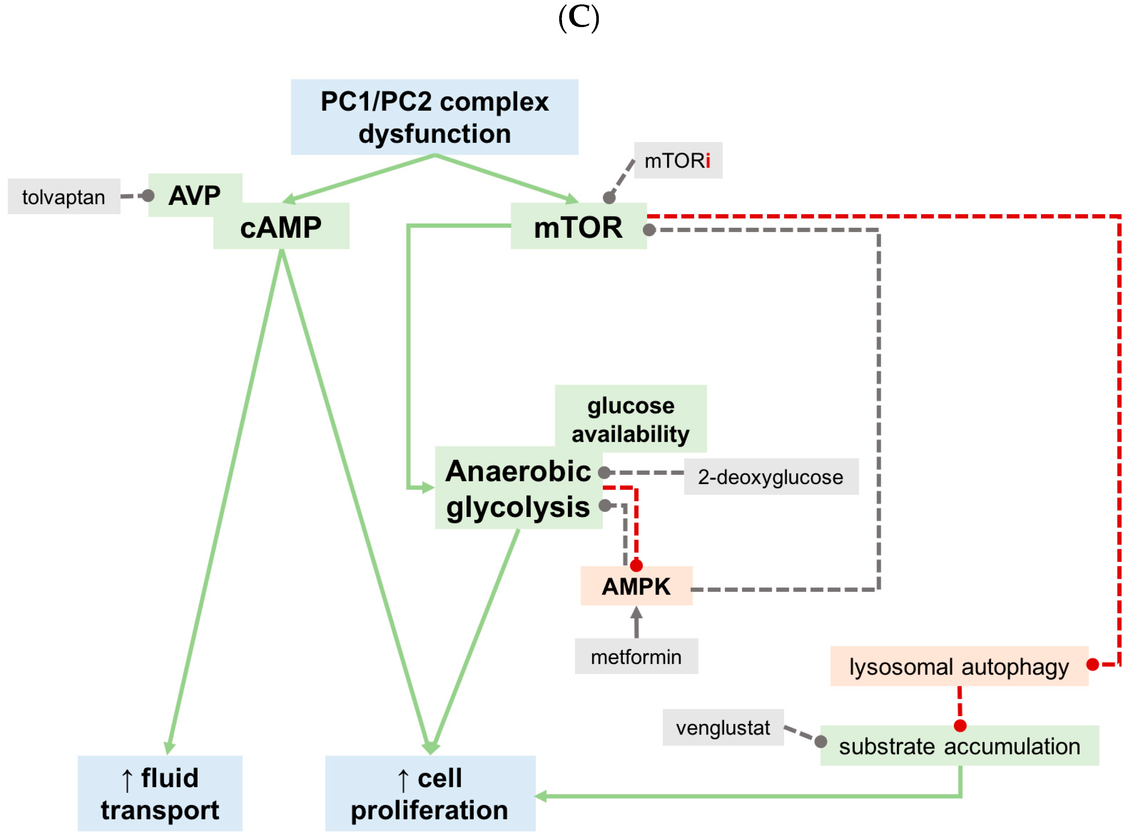 Nutrients 11 01576 g0a1b