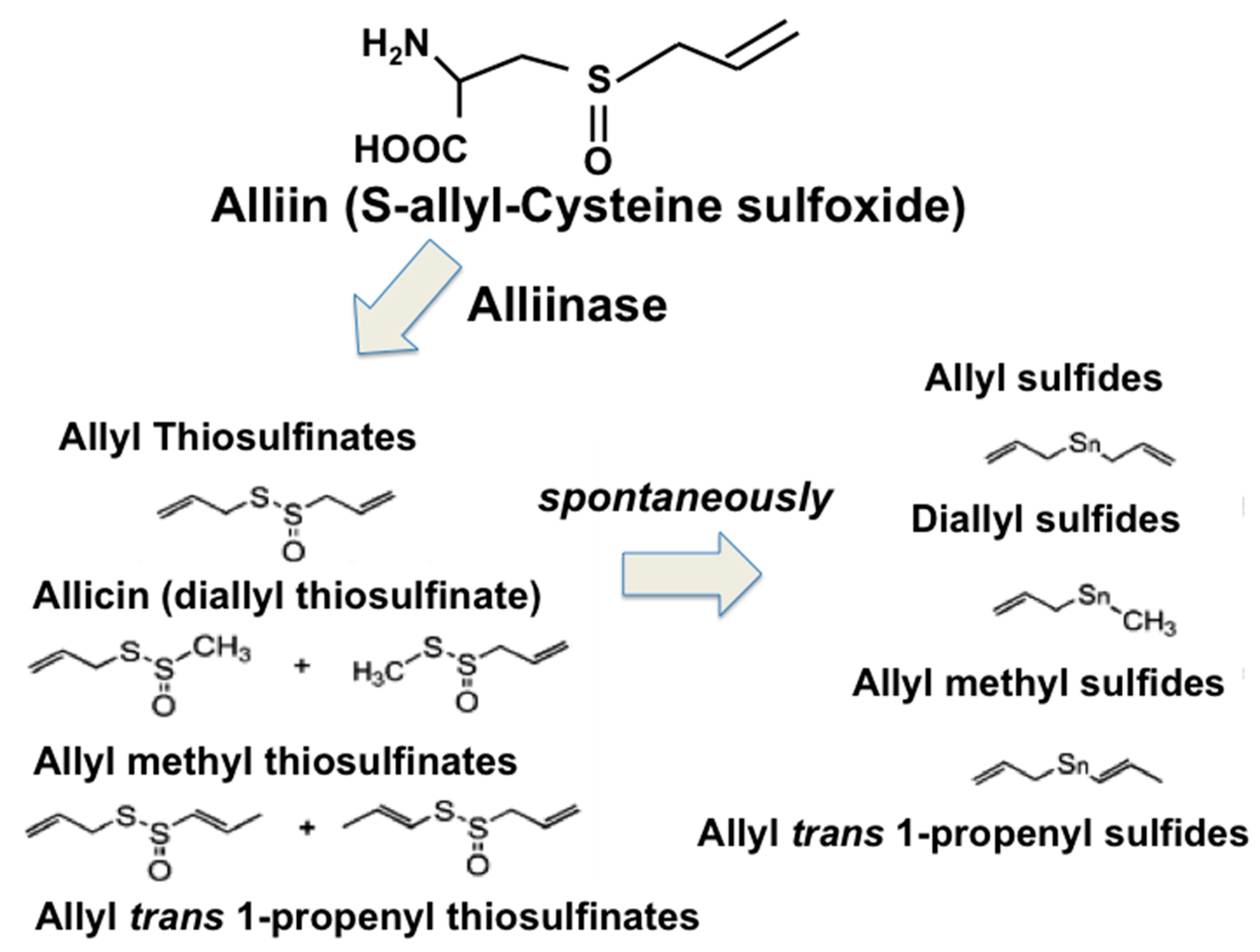 Nutrients 11 01581 g003
