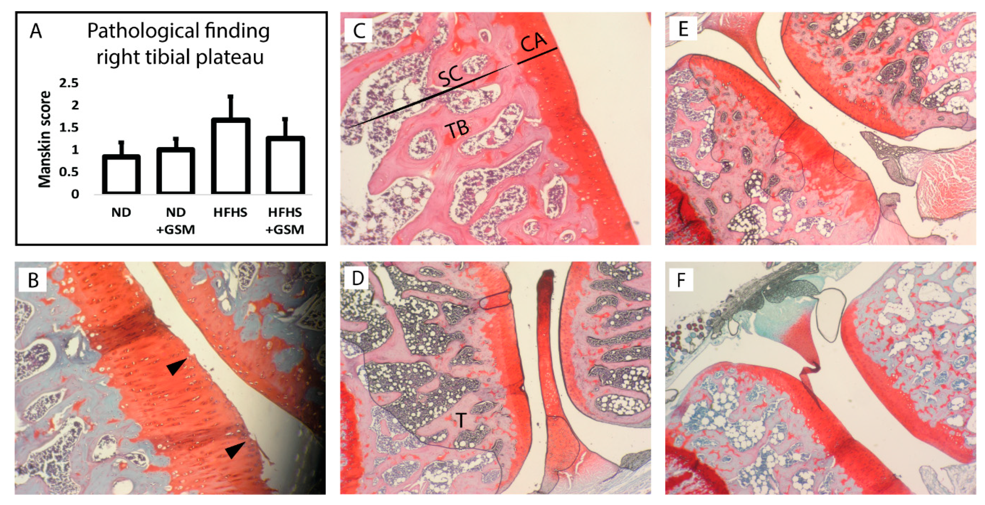 Nutrients 11 01601 g003 Nutrients 11 01601 g003