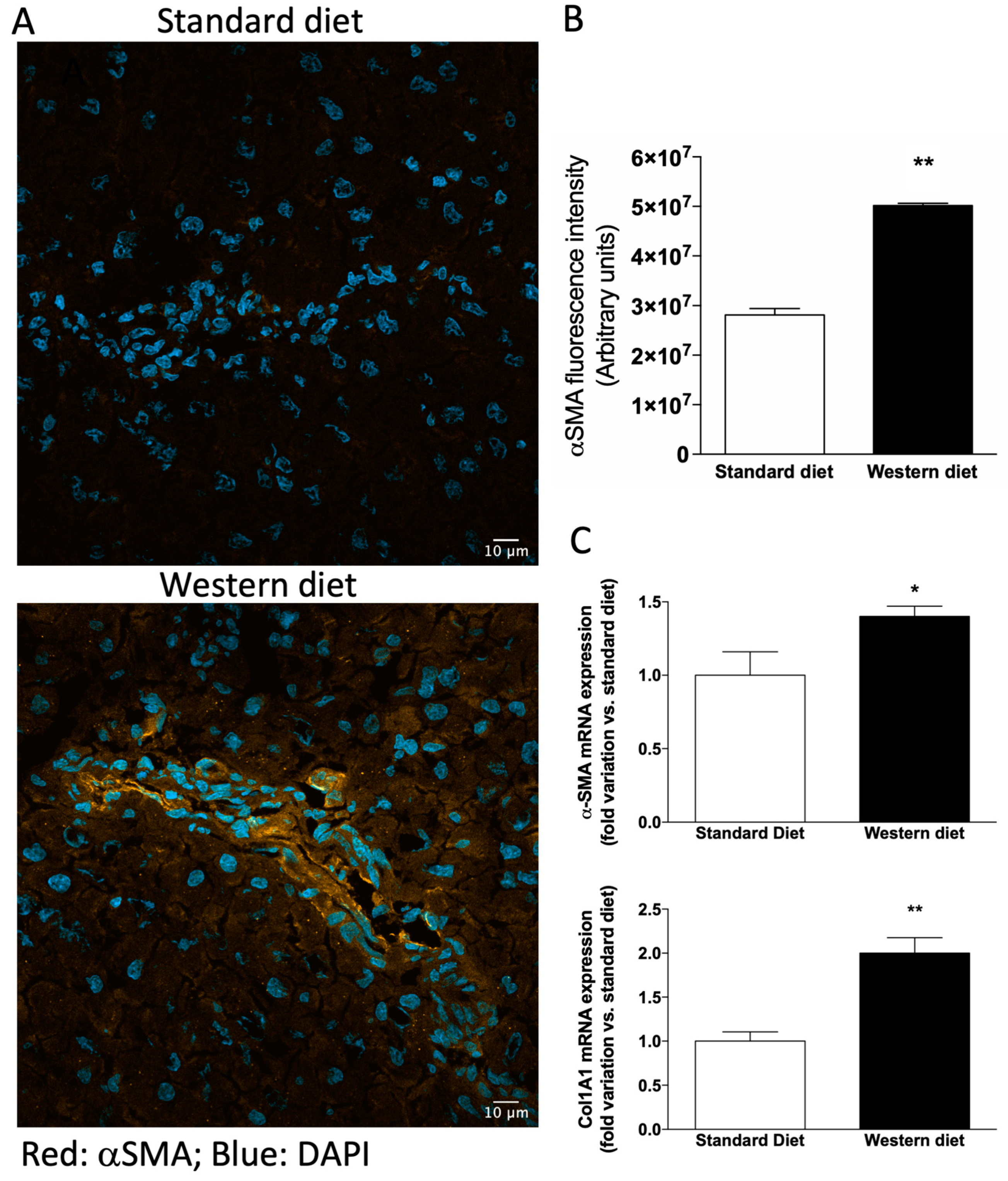 Nutrients 11 01602 g004