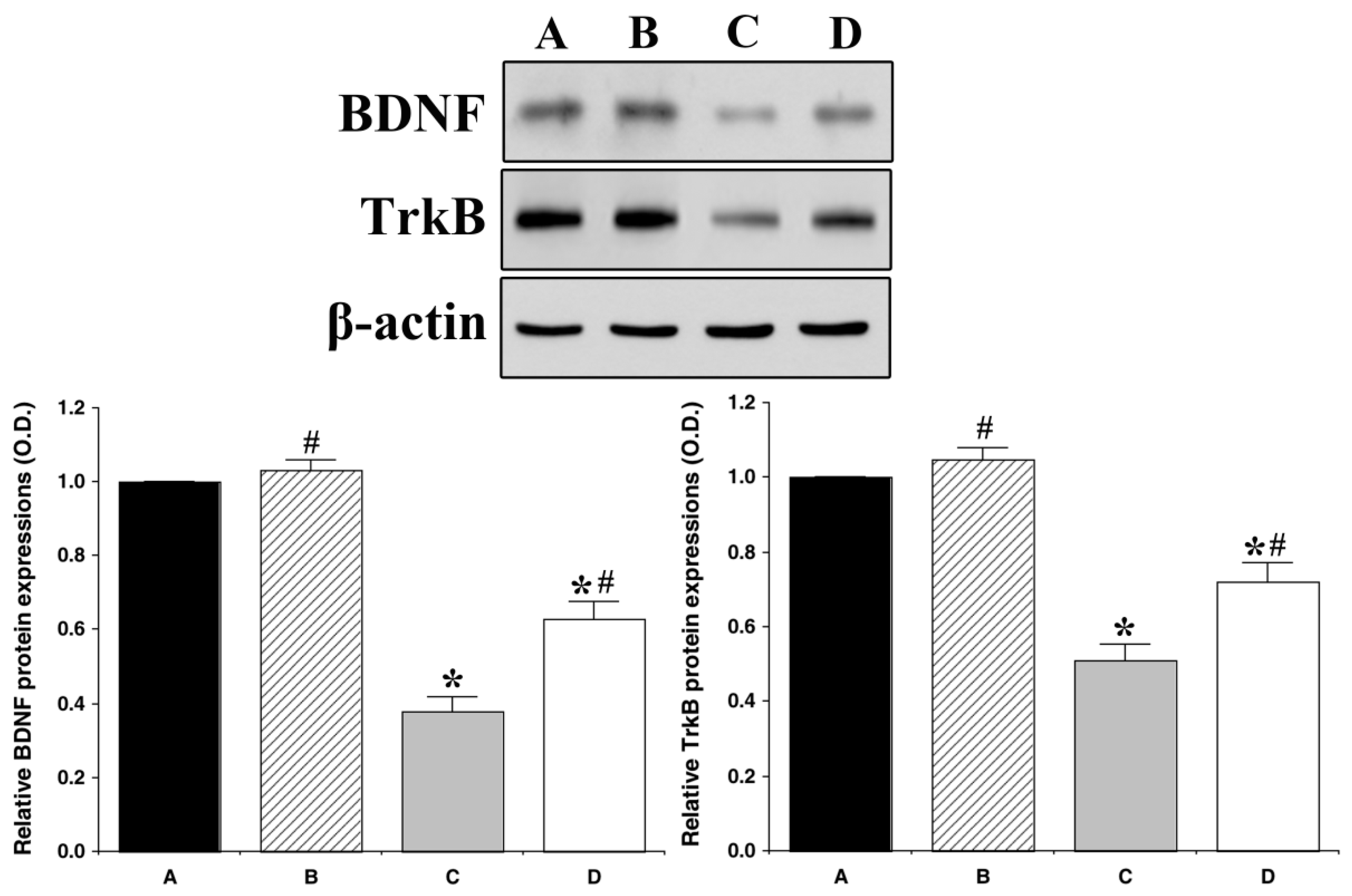 Nutrients 11 01603 g004