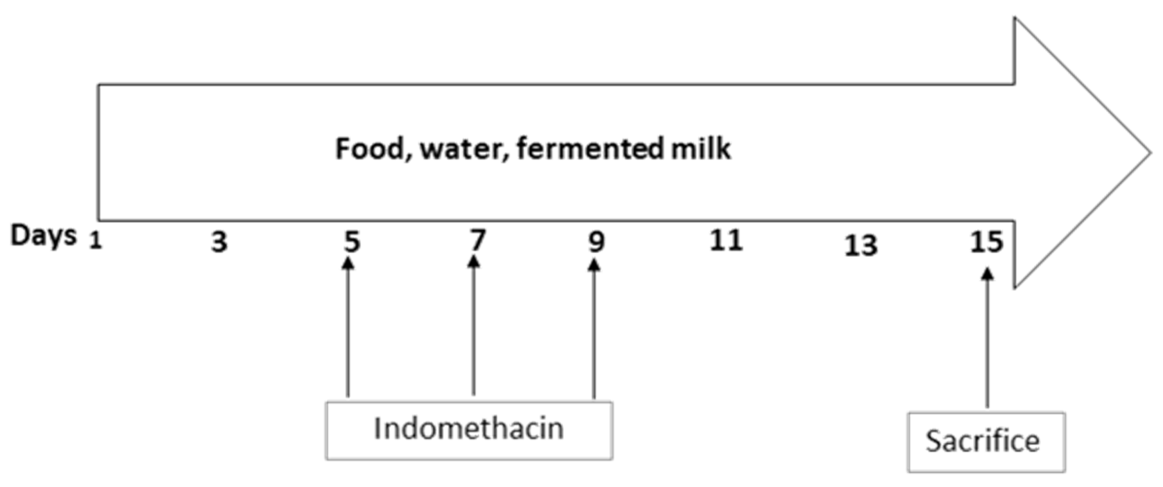 Nutrients 11 01610 g001 Nutrients 11 01610 g001