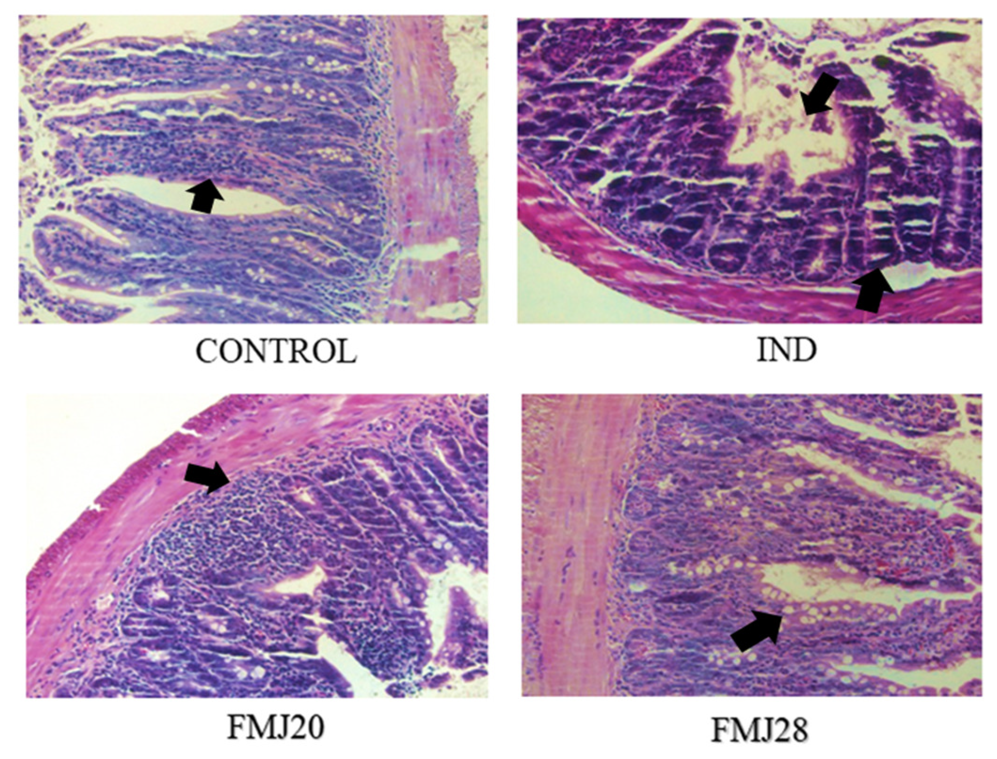 Nutrients 11 01610 g004 Nutrients 11 01610 g004