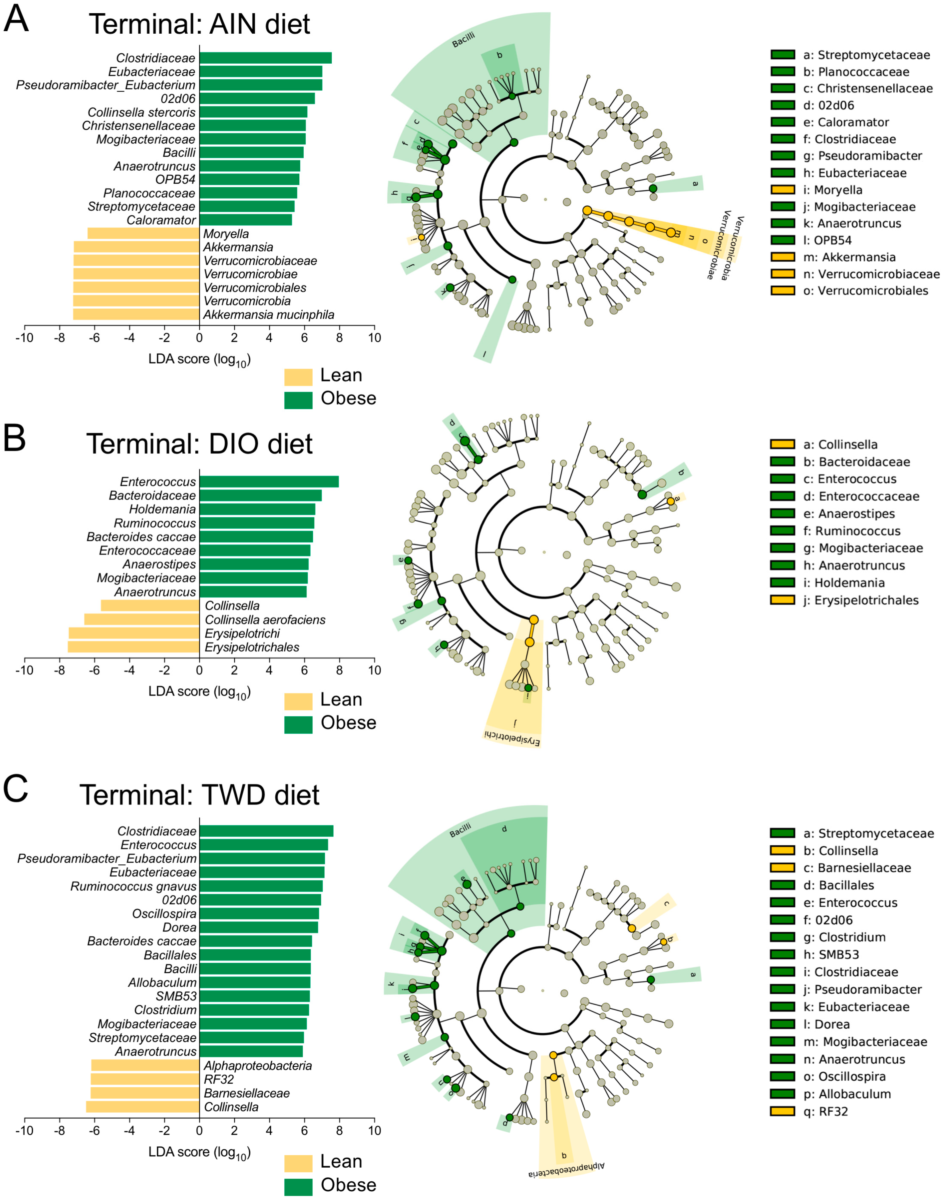 Nutrients 11 01630 g007 Nutrients 11 01630 g007