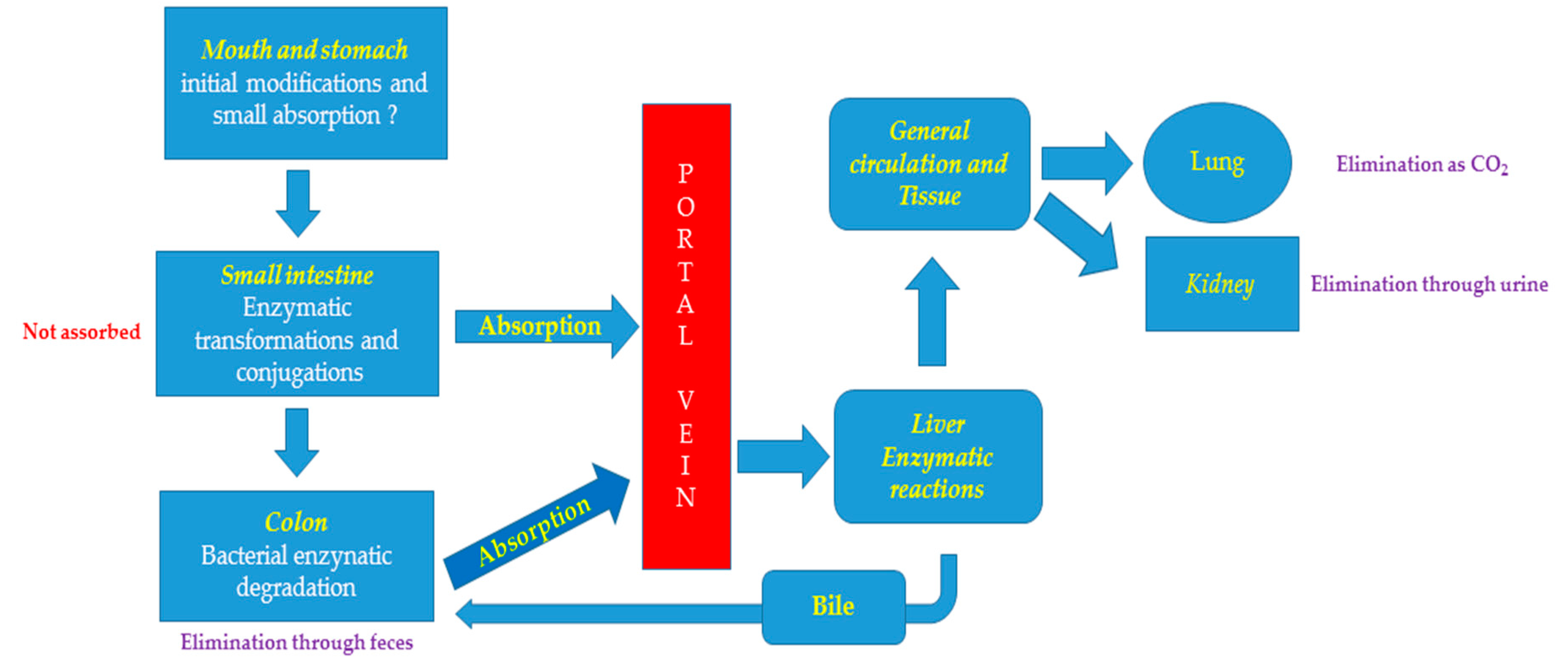 Nutrients 11 01637 g002 Nutrients 11 01637 g002