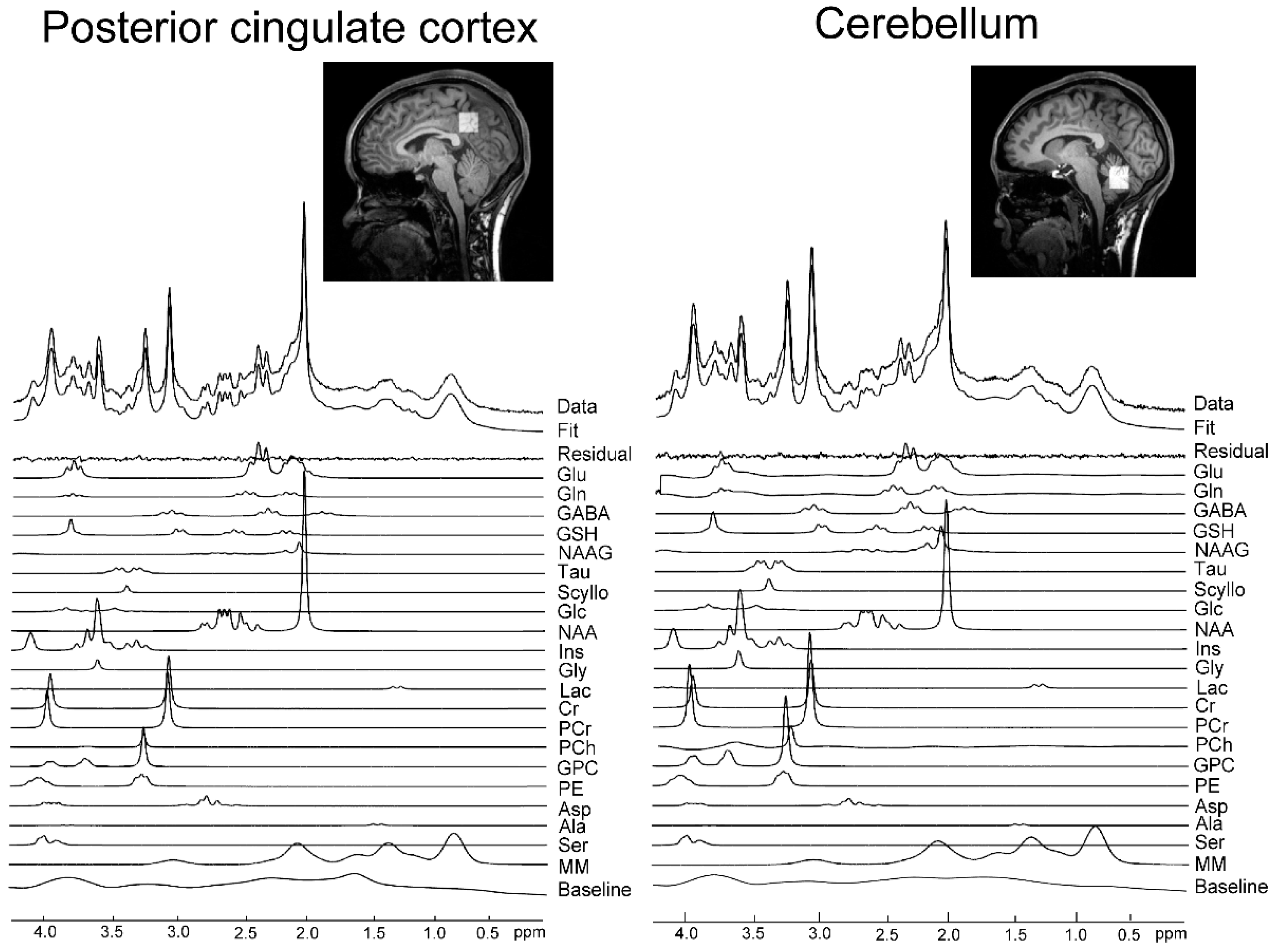Nutrients 11 01649 g001 Nutrients 11 01649 g001
