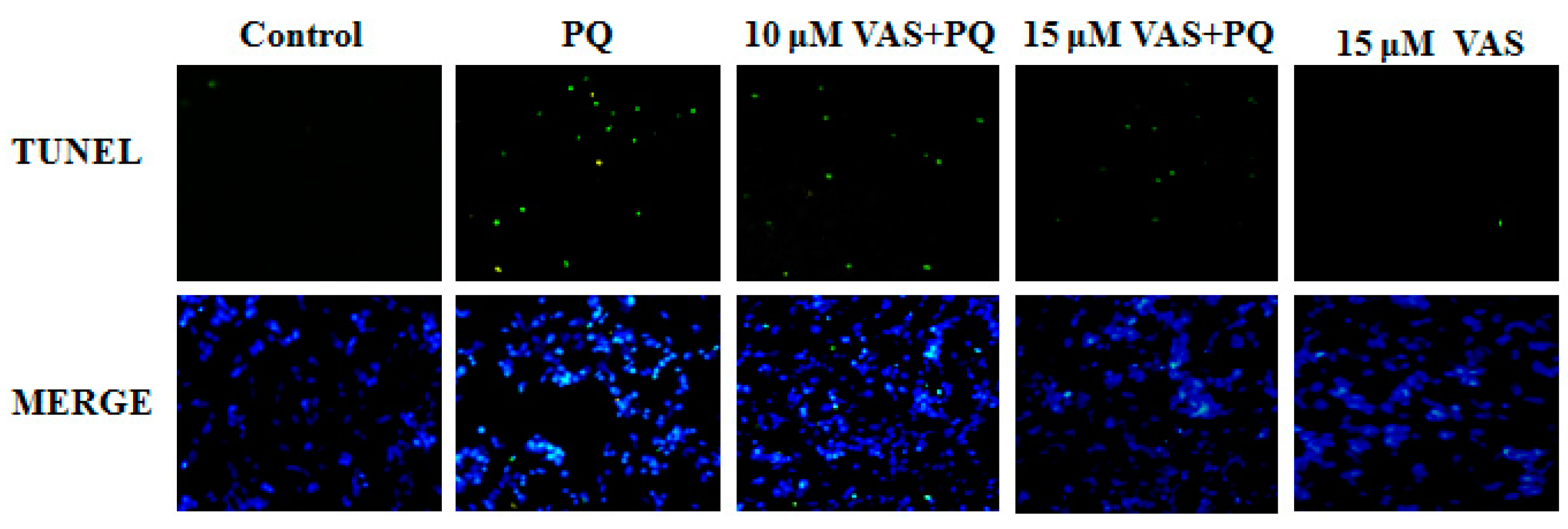 Nutrients 11 01655 g004 Nutrients 11 01655 g004
