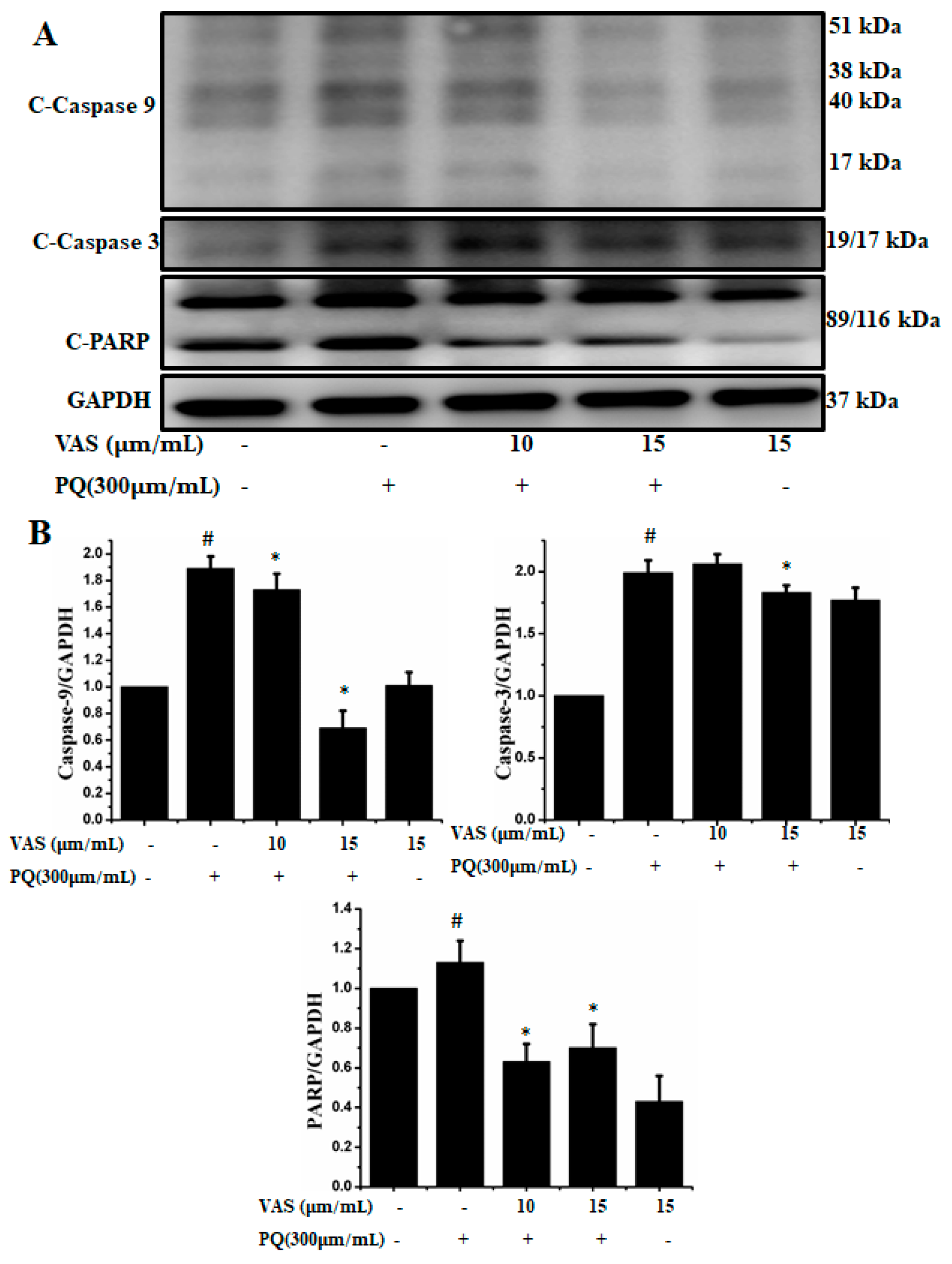 Nutrients 11 01655 g006 Nutrients 11 01655 g006