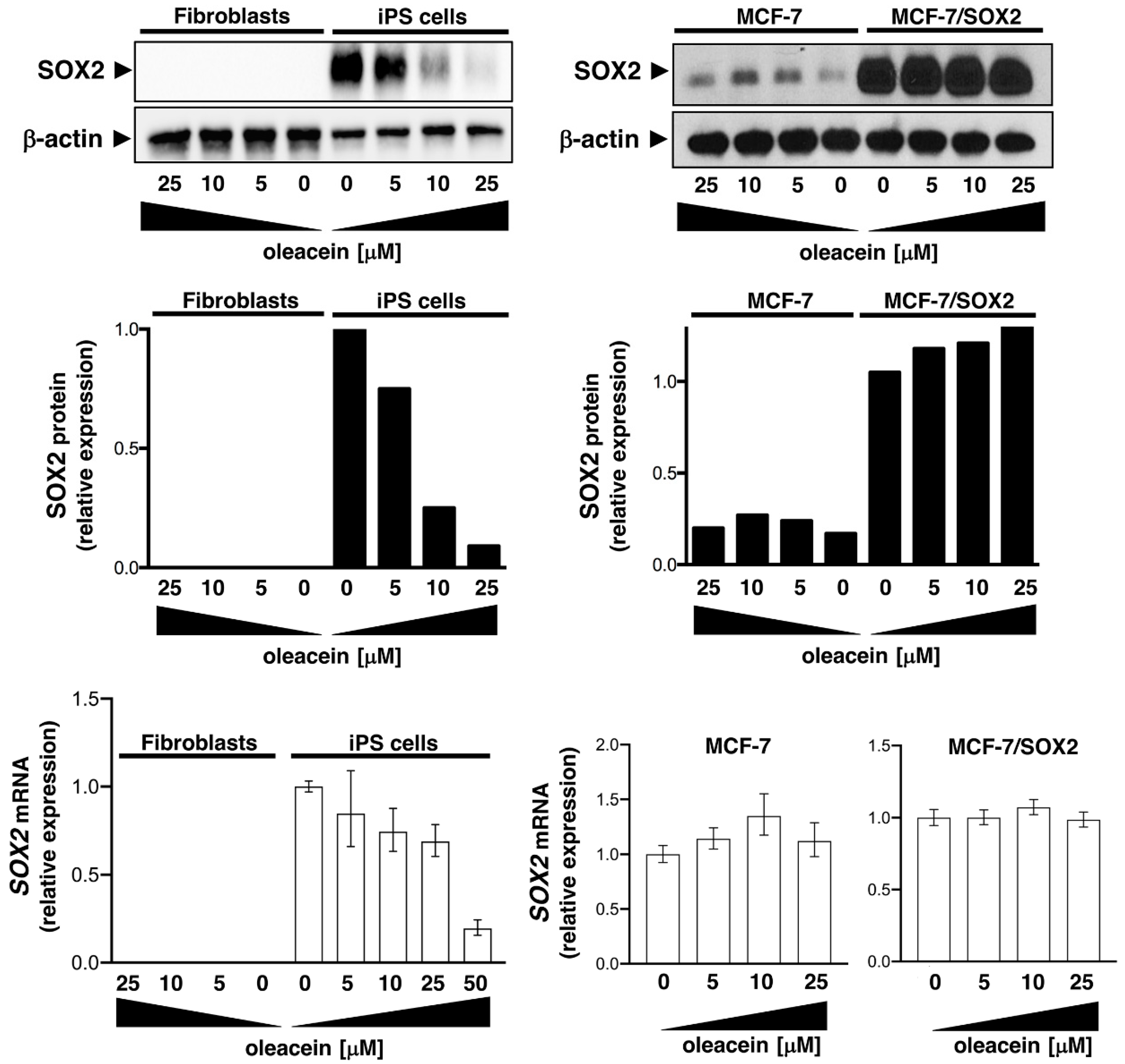 Nutrients 11 01656 g005 Nutrients 11 01656 g005