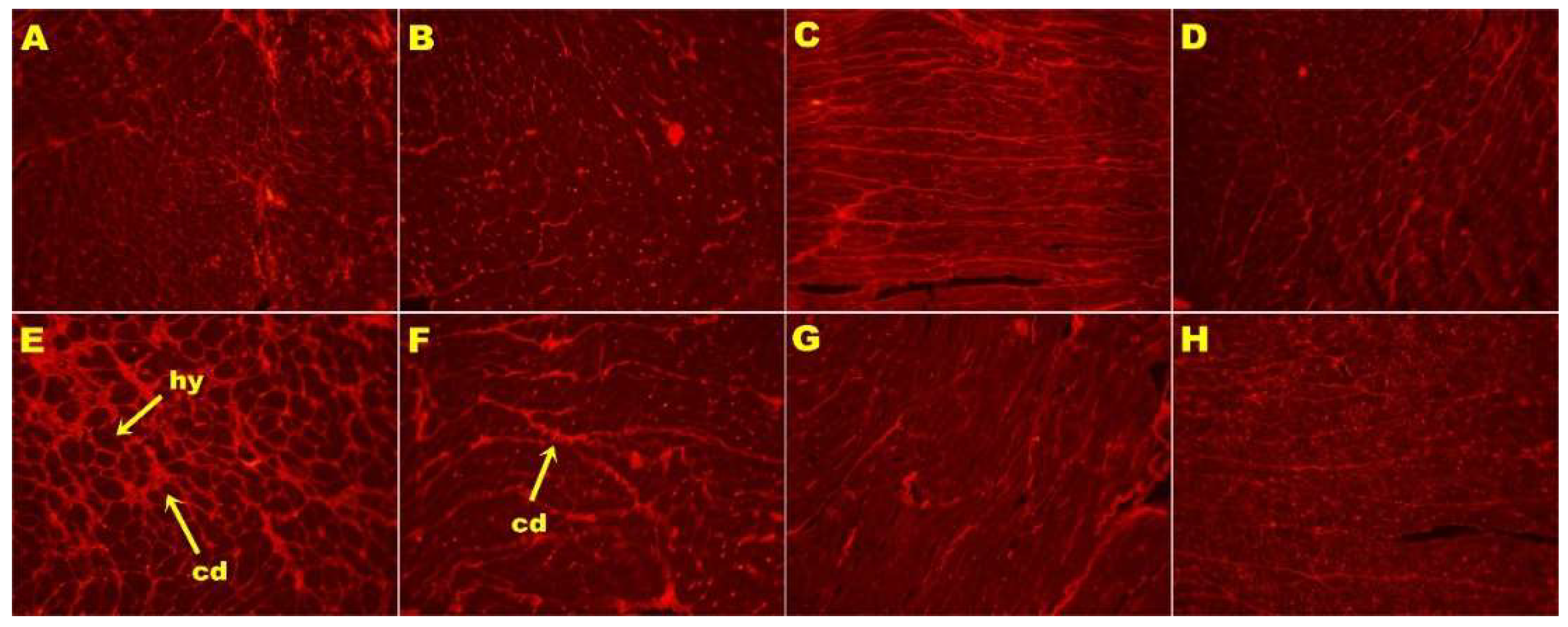 Nutrients 11 01677 g003