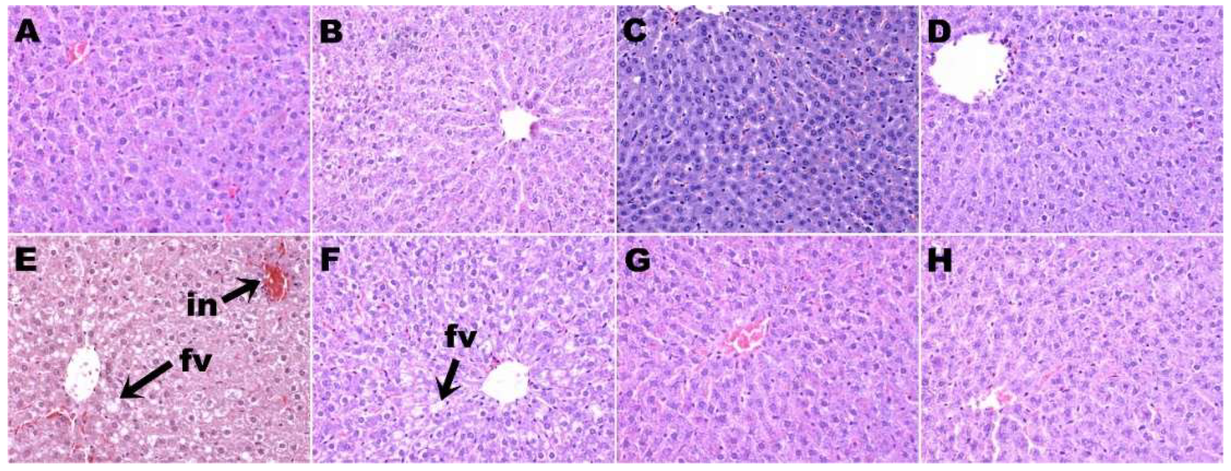 Nutrients 11 01677 g004
