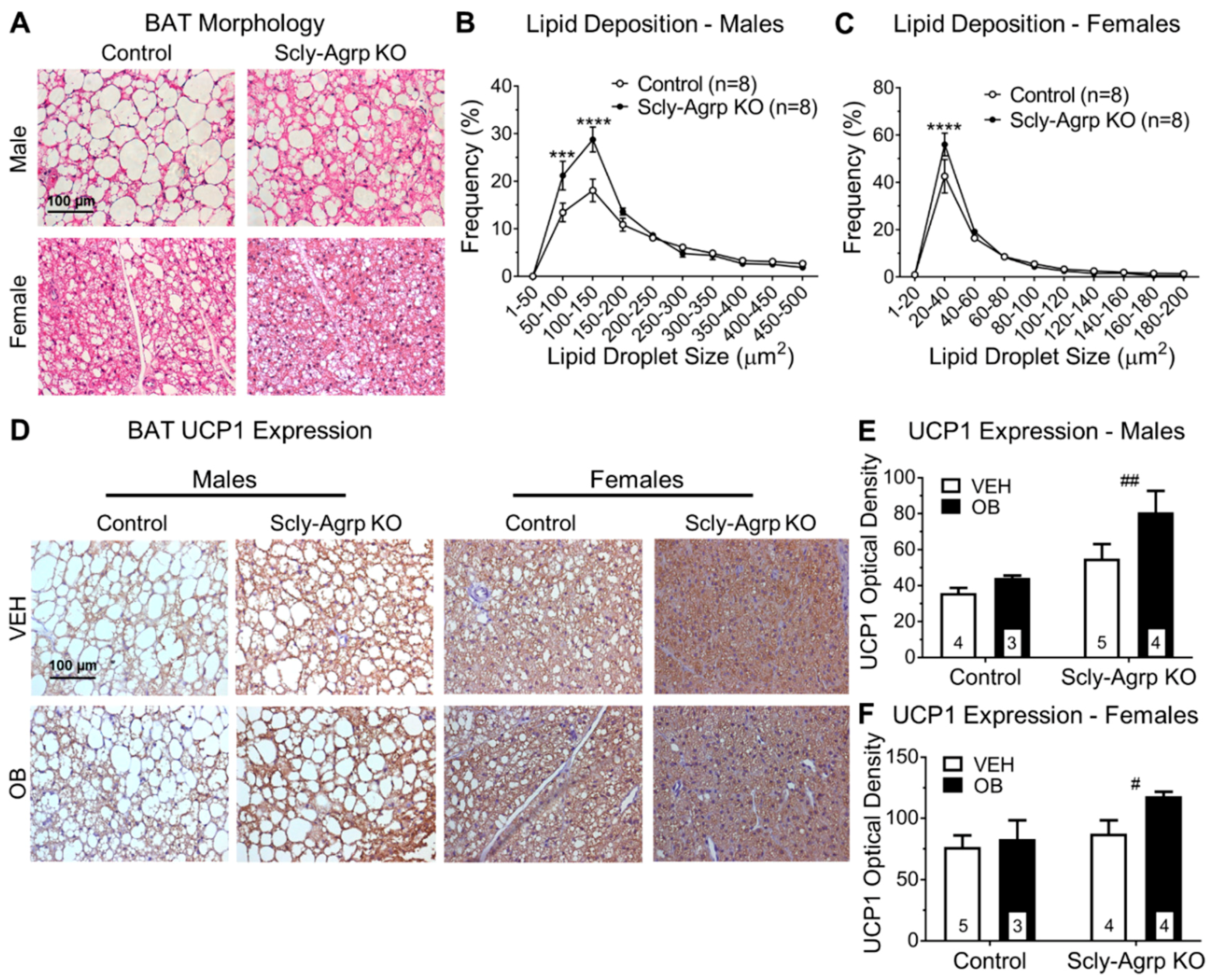 Nutrients 11 01693 g005