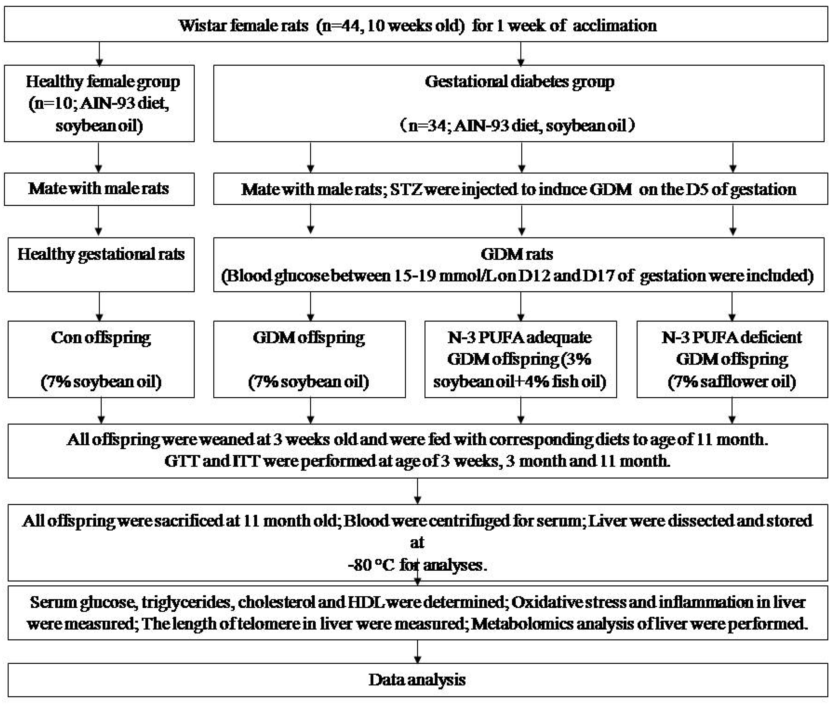 Nutrients 11 01699 g001 Nutrients 11 01699 g001