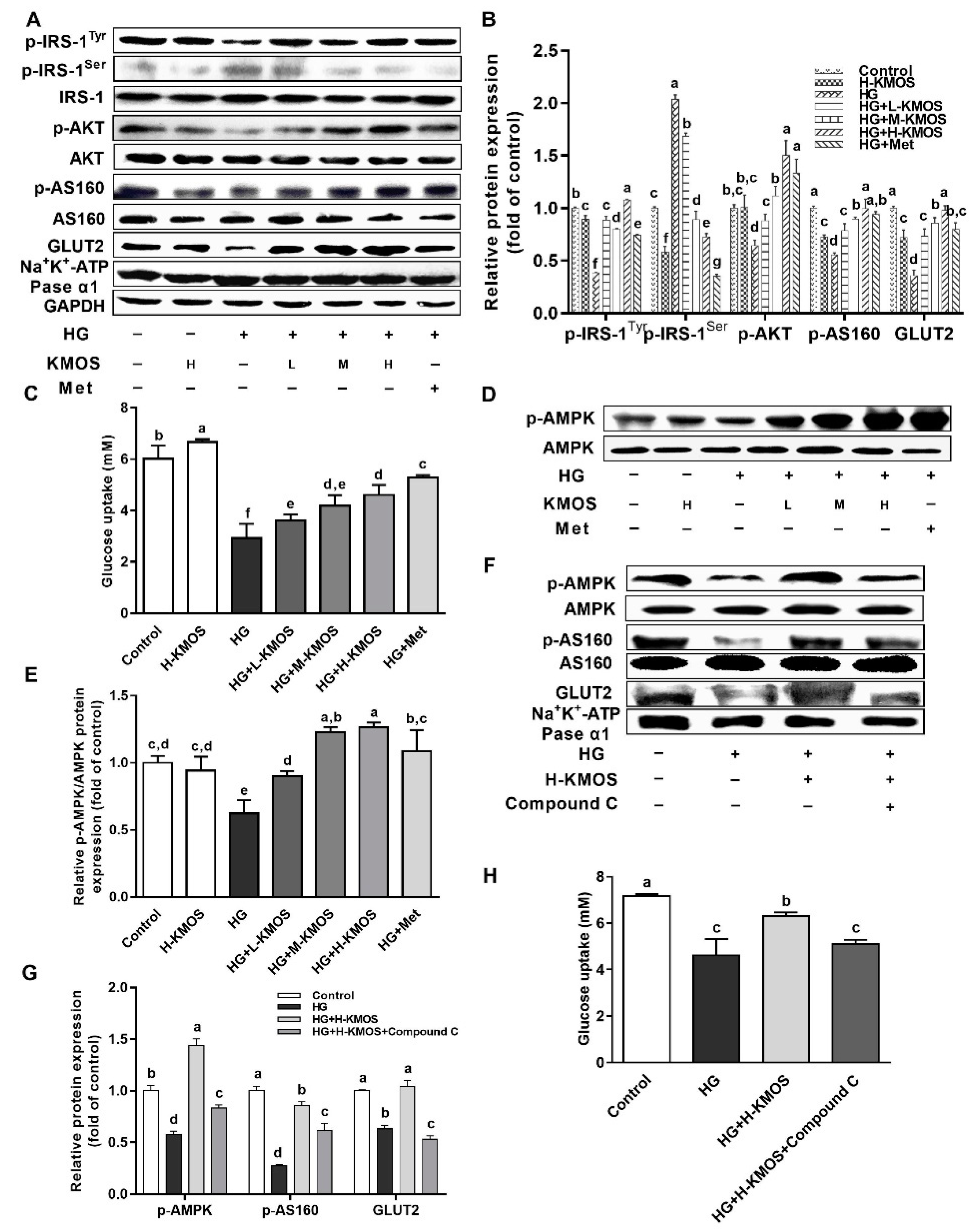 Nutrients 11 01705 g004 Nutrients 11 01705 g004