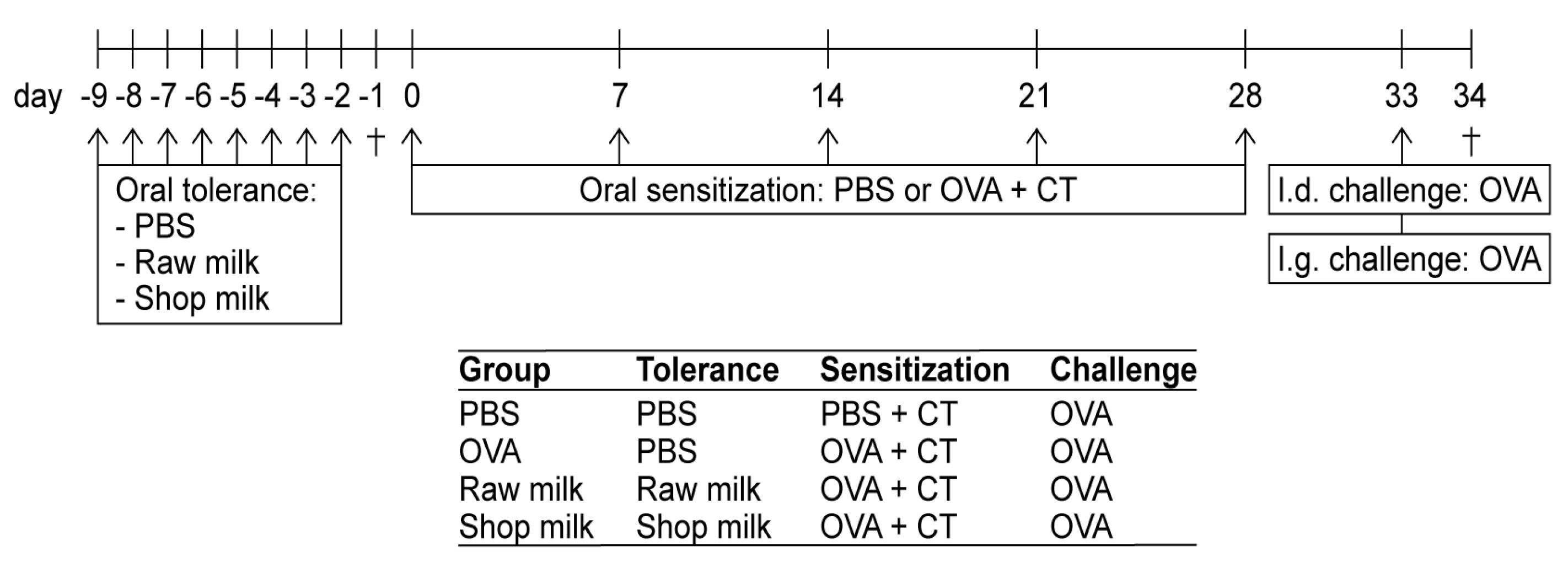 Nutrients Free Full Text Raw Cow S Milk Reduces Allergic Symptoms In A Murine Model For Food Allergy A Potential Role For Epigenetic Modifications Html Nutrients Free Full Text Raw Cow S Milk Reduces Allergic Symptoms In A Murine Model For Food Allergy A Potential Role For Epigenetic Modifications Html