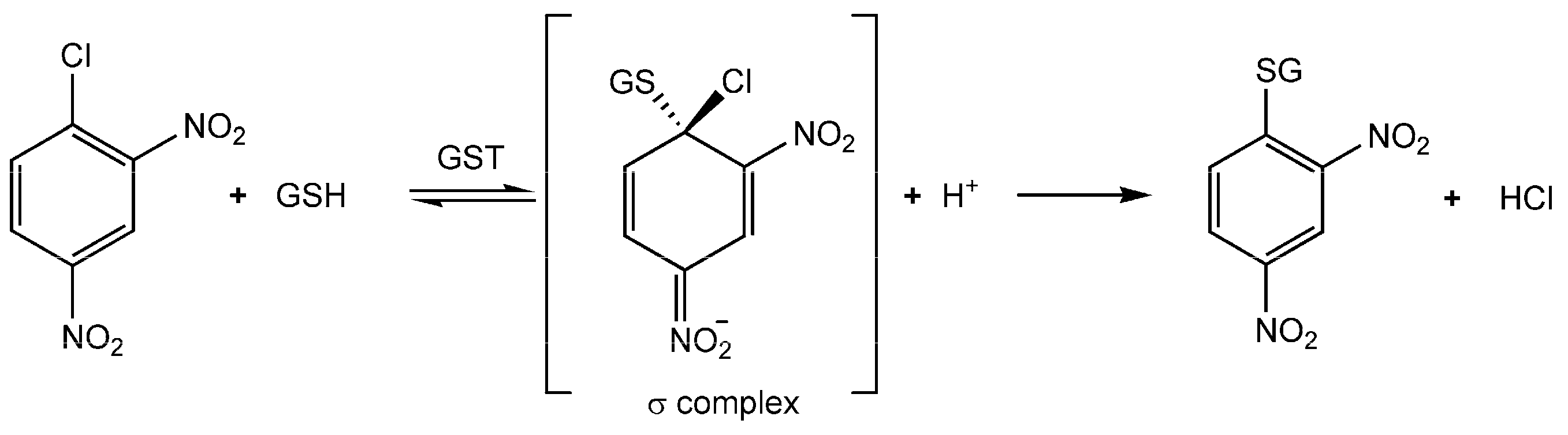 Nutrients 11 01741 g002