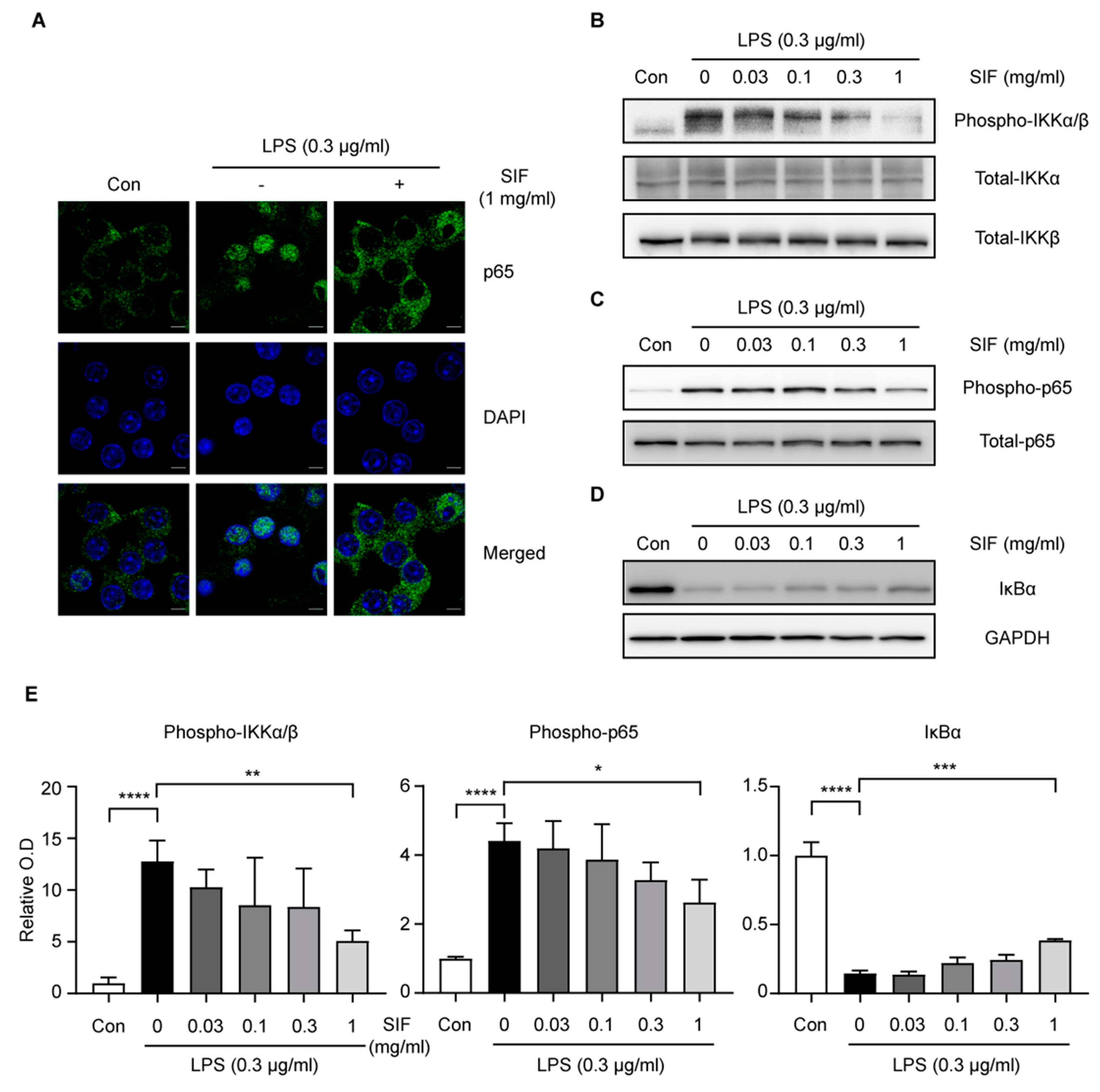 Nutrients 11 01746 g008