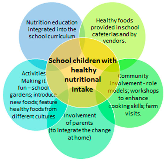 Nutrition Education Policy: Effective Strategies & Impacts