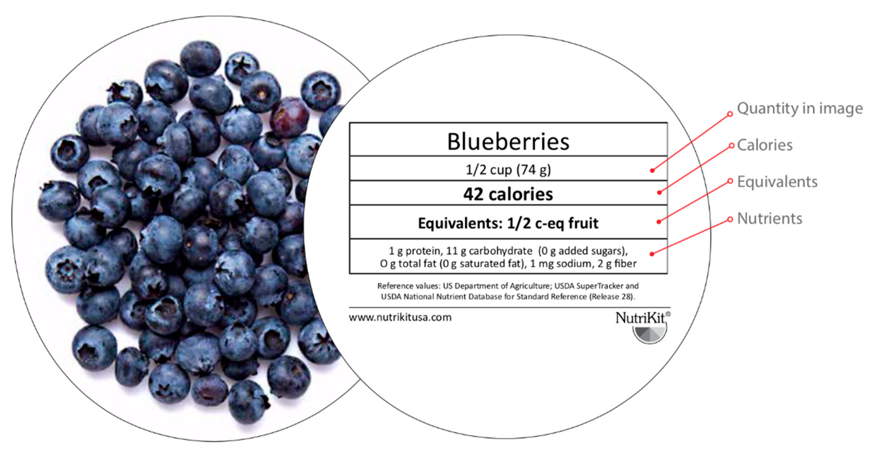 Nutrients 11 01763 g0a1 Nutrients 11 01763 g0a1