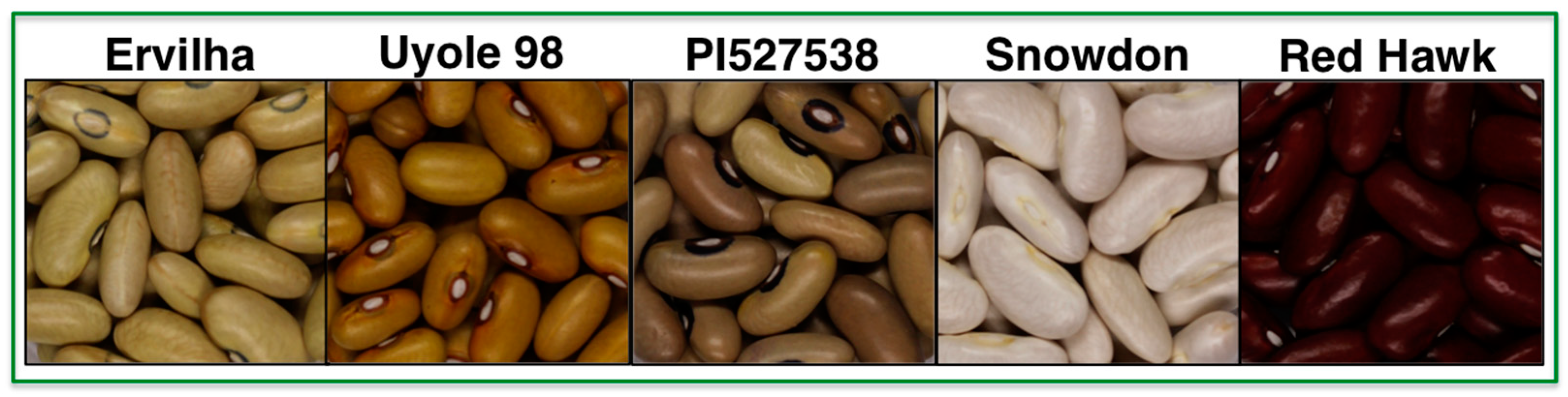 Nutrients 11 01768 g001