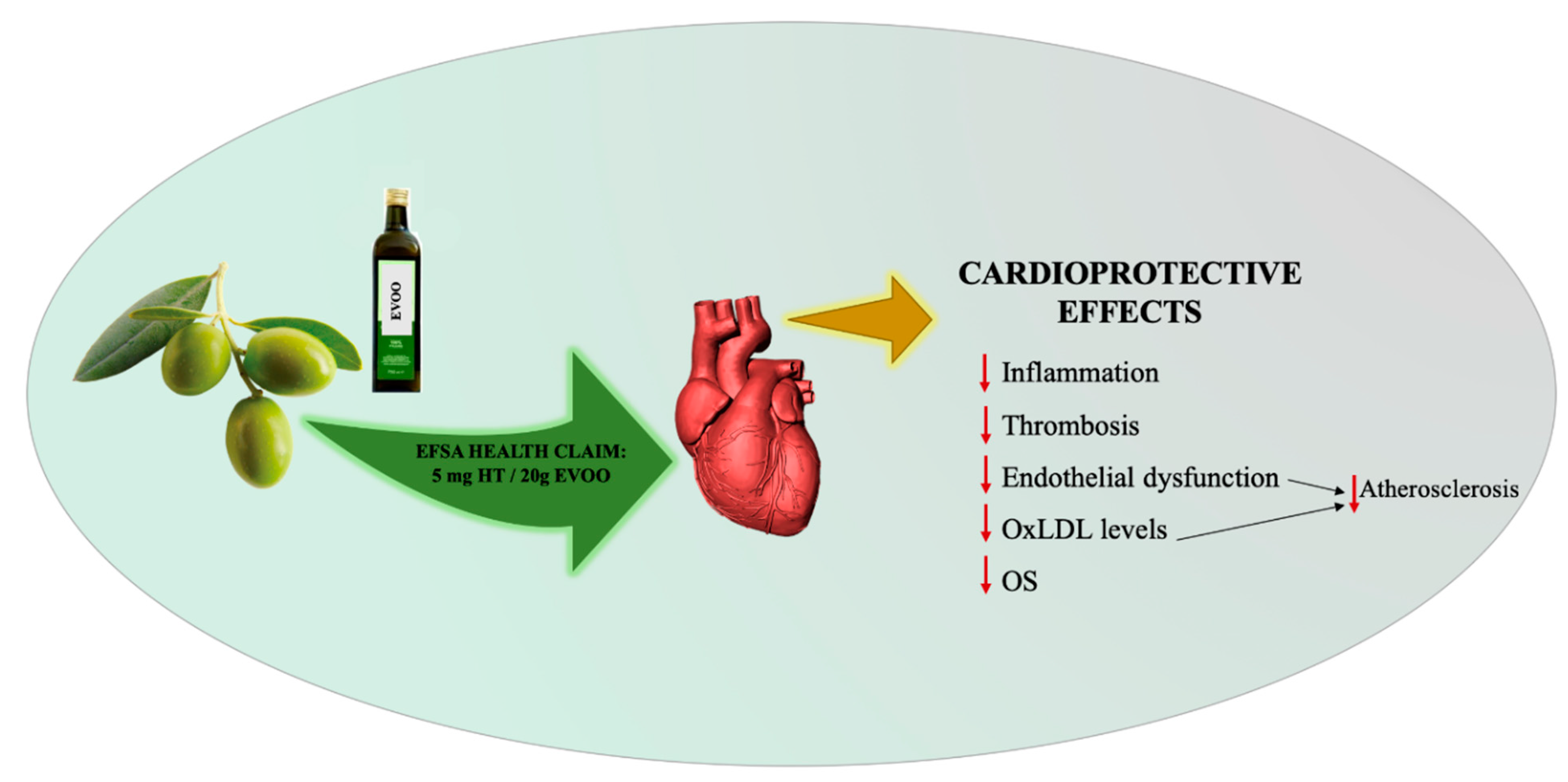 nutrients | free full-text | health effects of phenolic