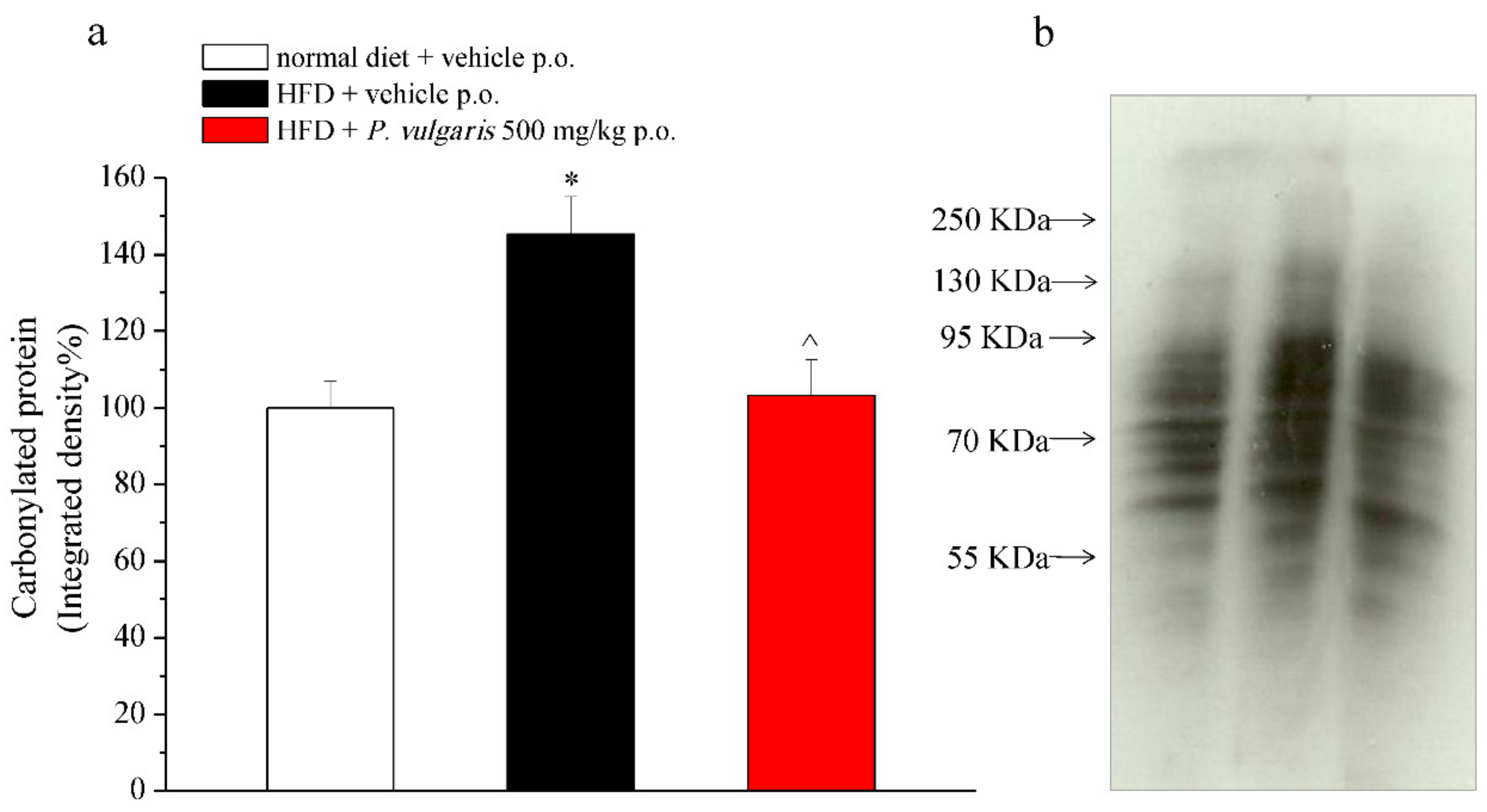 Nutrients 11 01778 g003 Nutrients 11 01778 g003