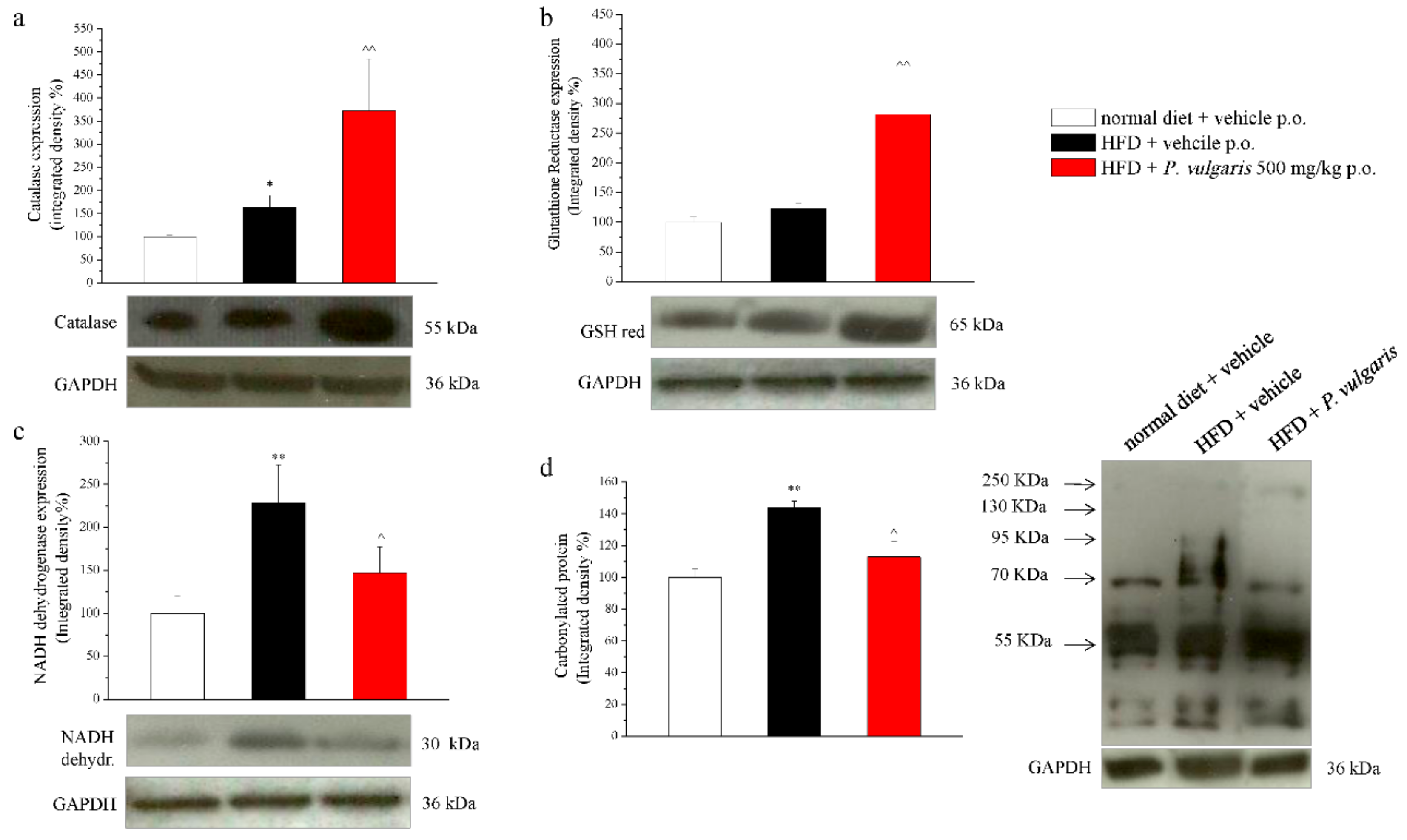 Nutrients 11 01778 g007 Nutrients 11 01778 g007